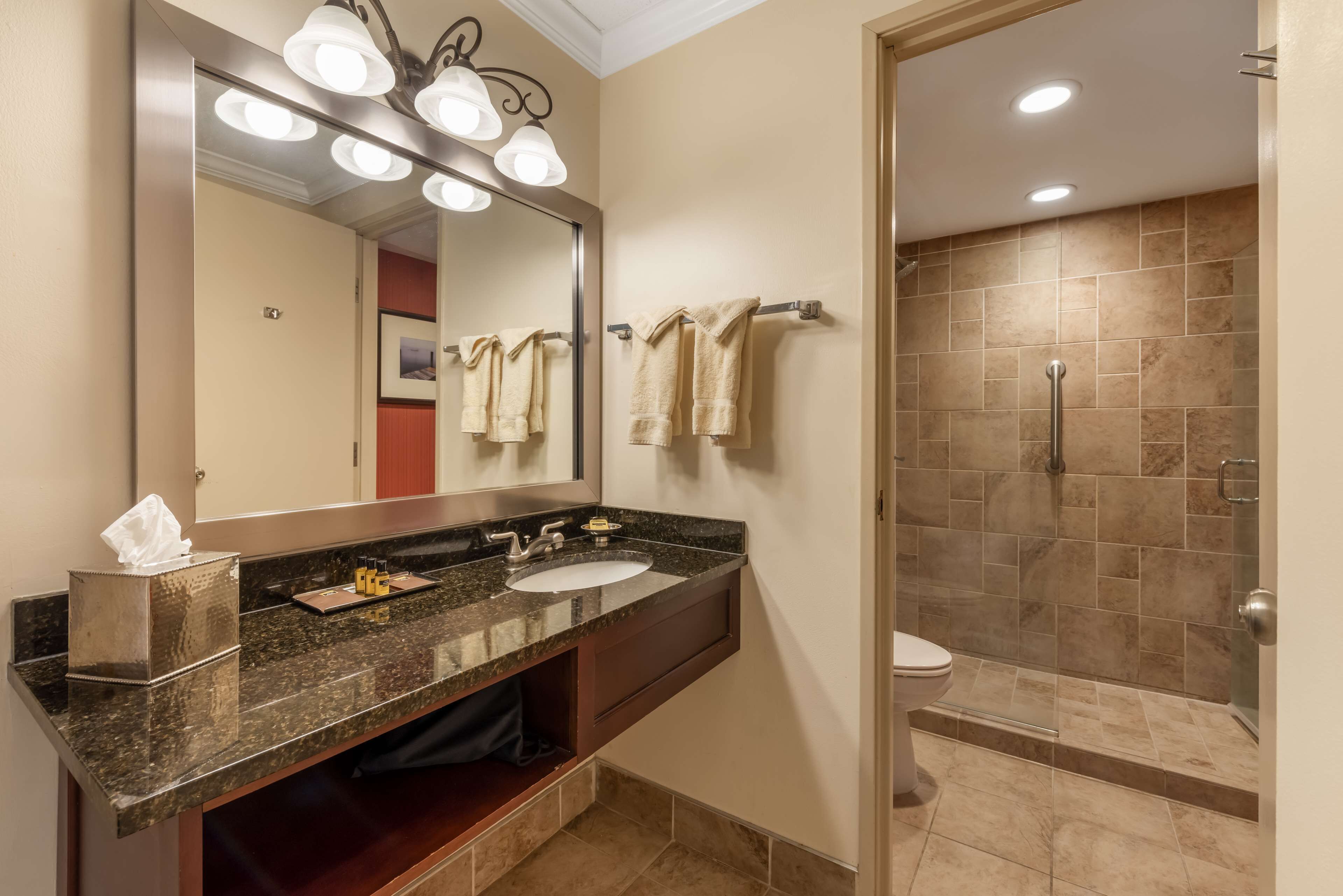 shower, designer toiletries, hair dryer, towels