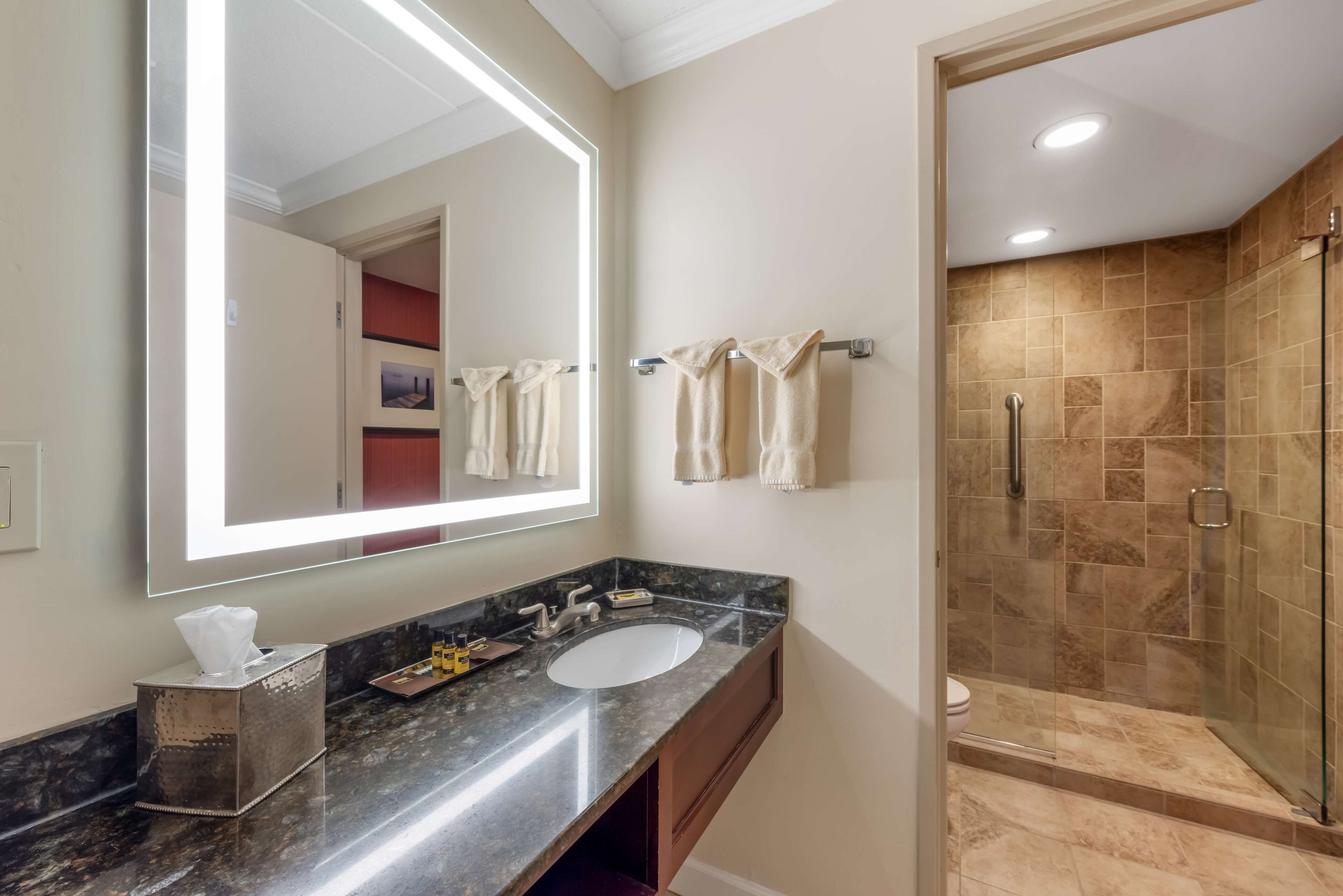 Un baño moderno con un espejo grande, dos lavamanos, una ducha con cerramiento de vidrio y un perchero para toallas.