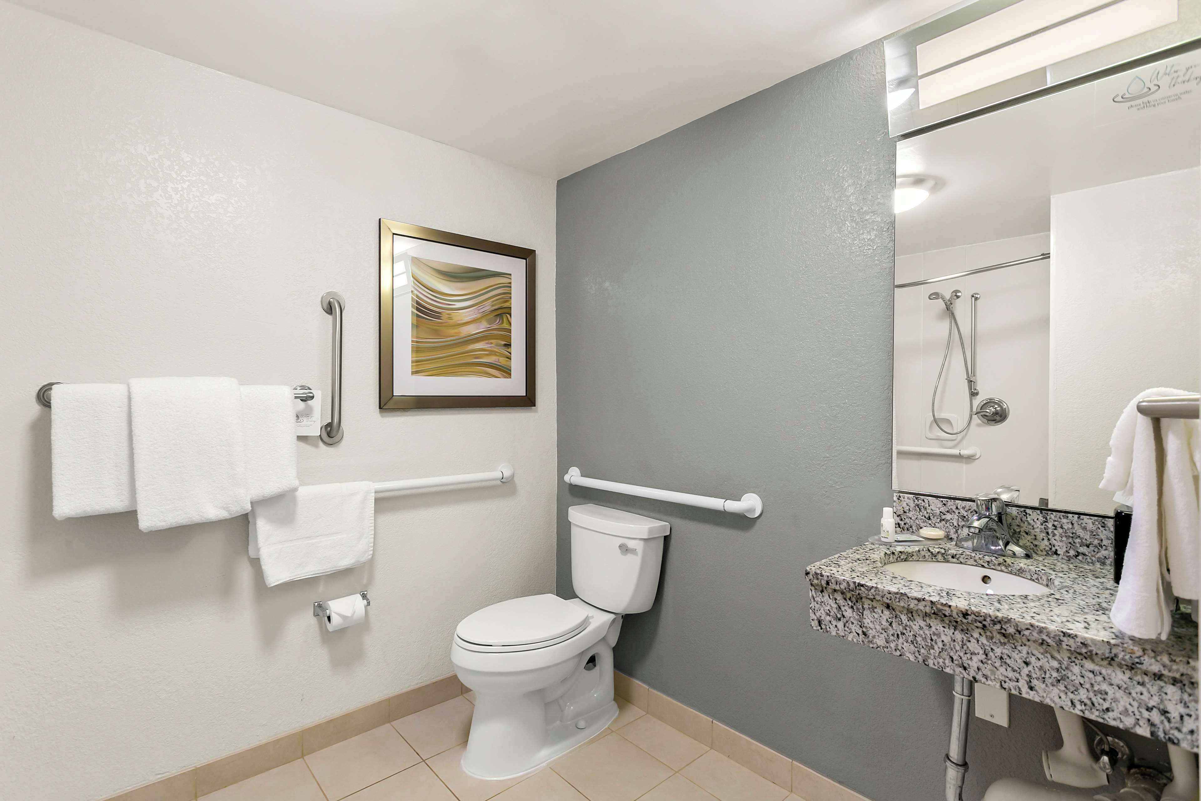 A bathroom with a toilet, handrails, a sink, and a shower.