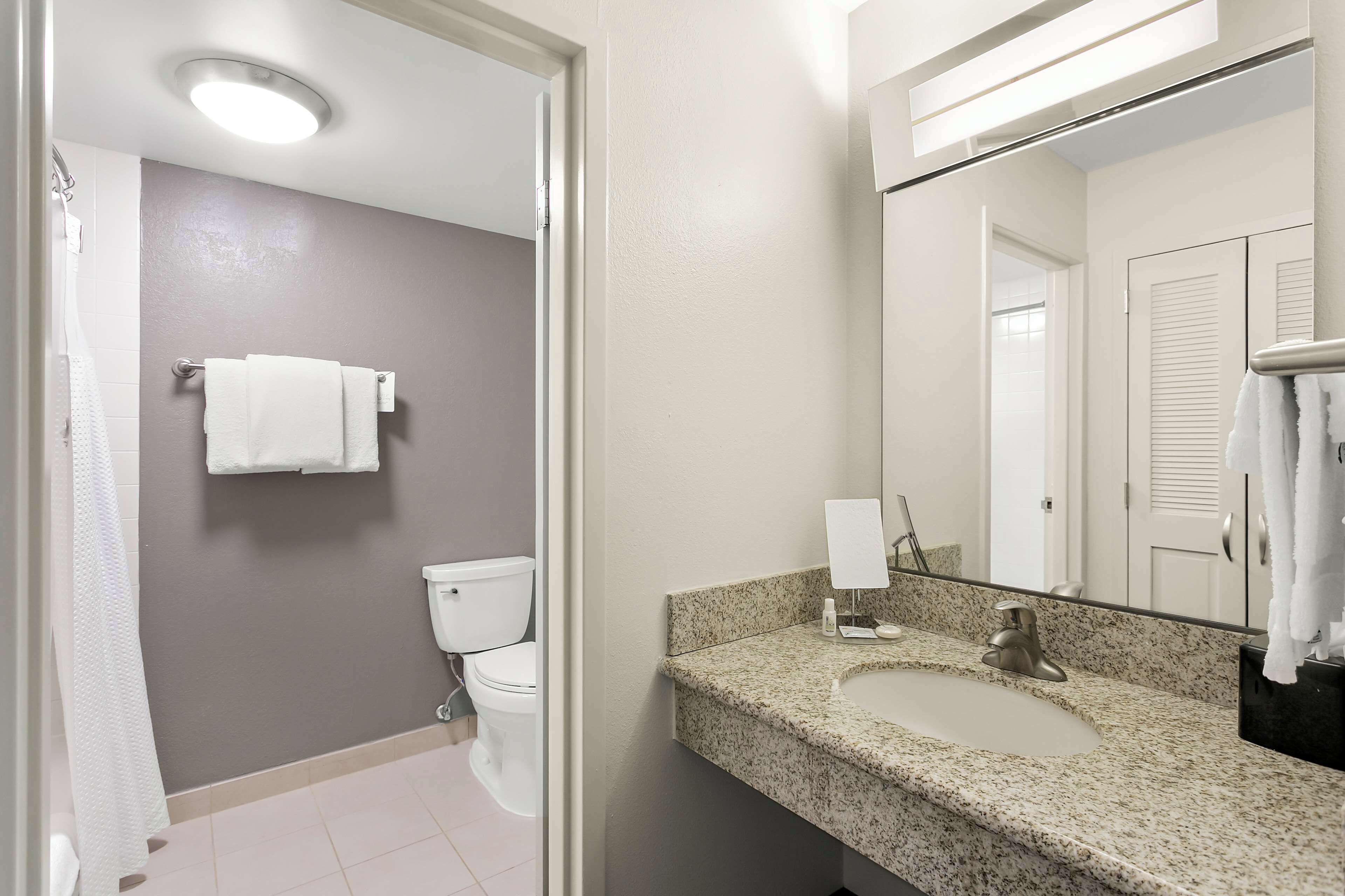 combined shower/bathtub, free toiletries, hair dryer, towels