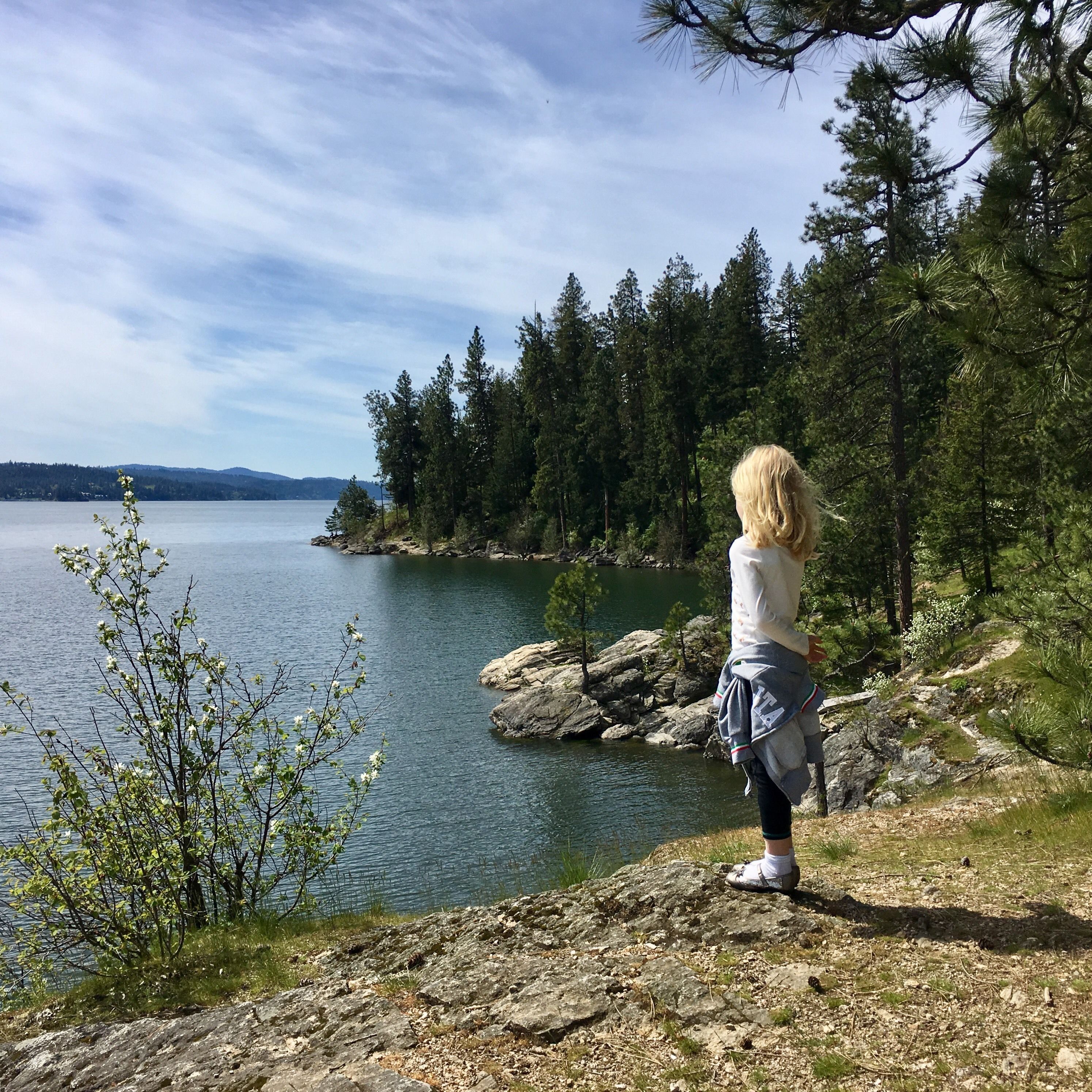 Una persona está de pie sobre una costa rocosa, contemplando un lago tranquilo con un denso bosque al fondo.