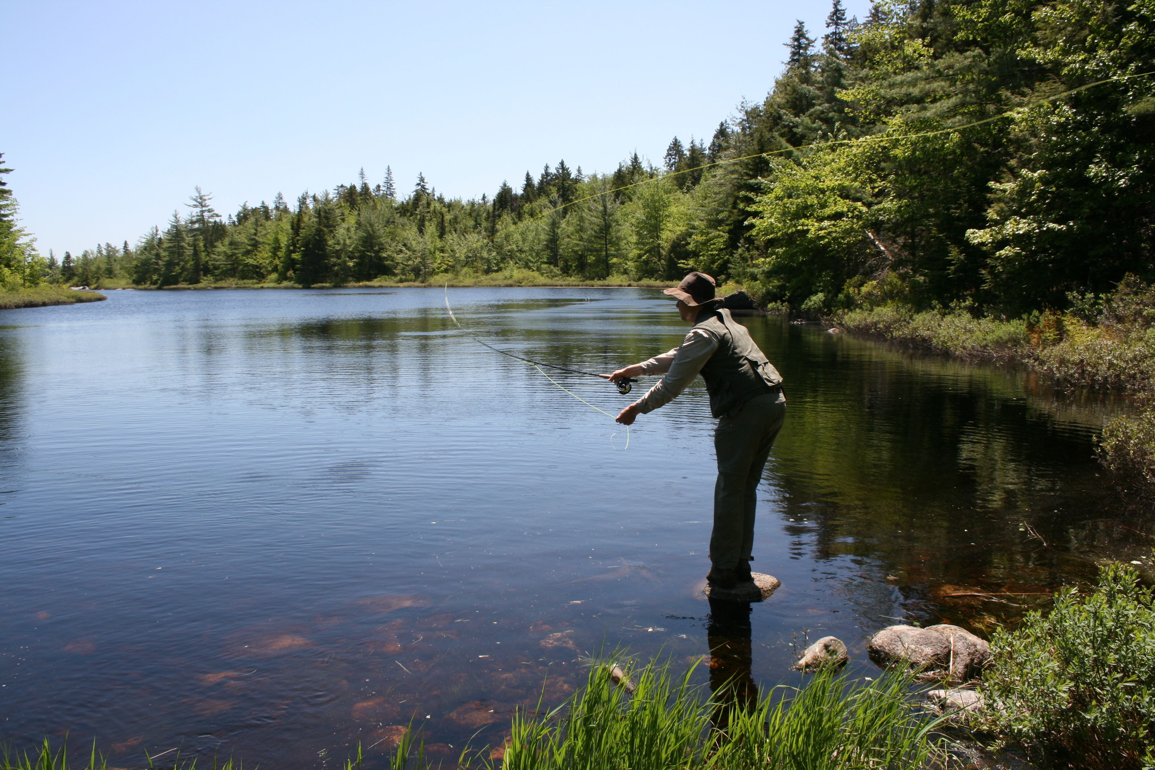 Une personne est en train de pêcher au bord d’un lac paisible, entouré d’une forêt dense.