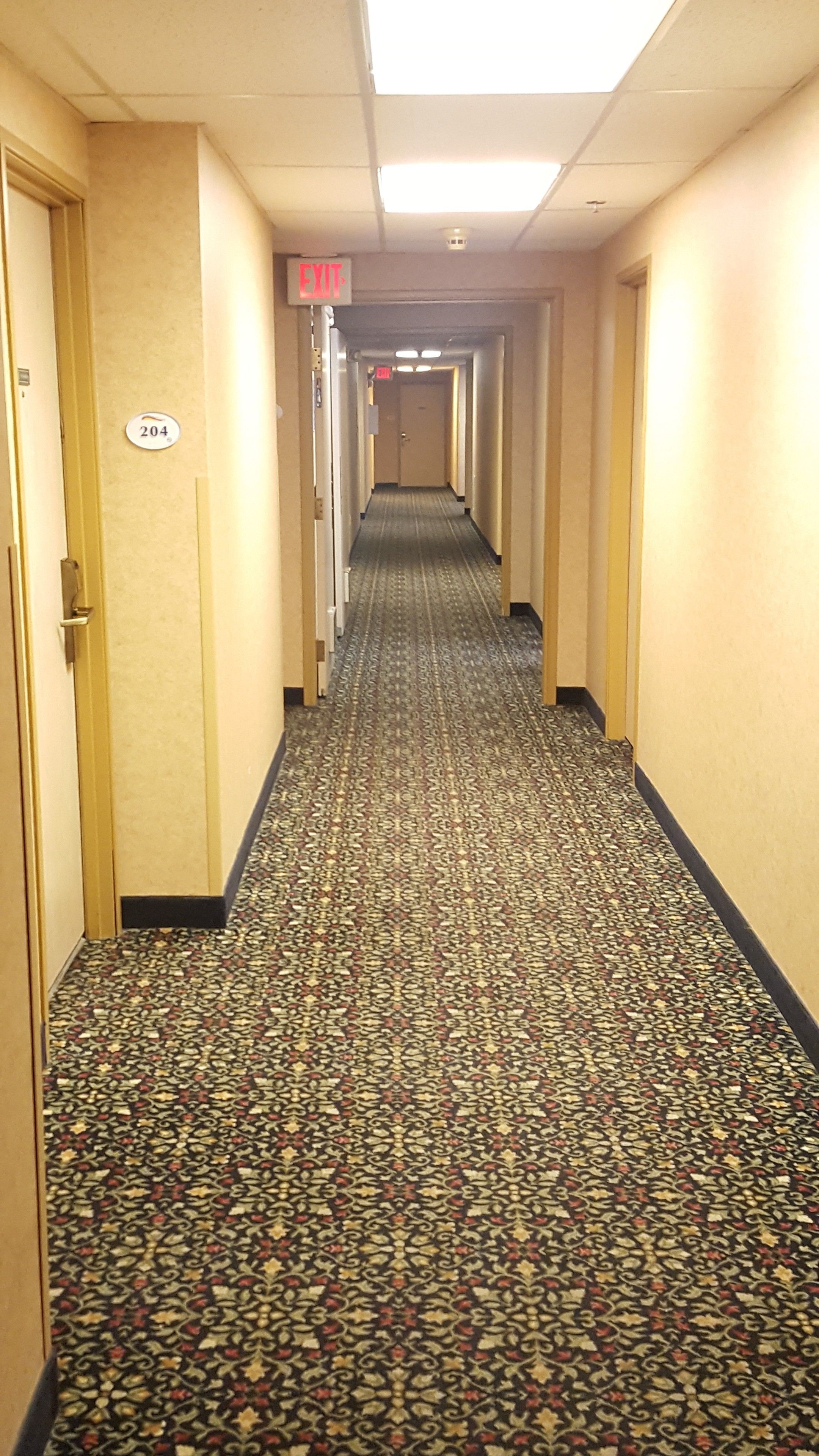 Un pasillo de hotel con pisos alfombrados, puertas a ambos lados y una señal de salida al final.