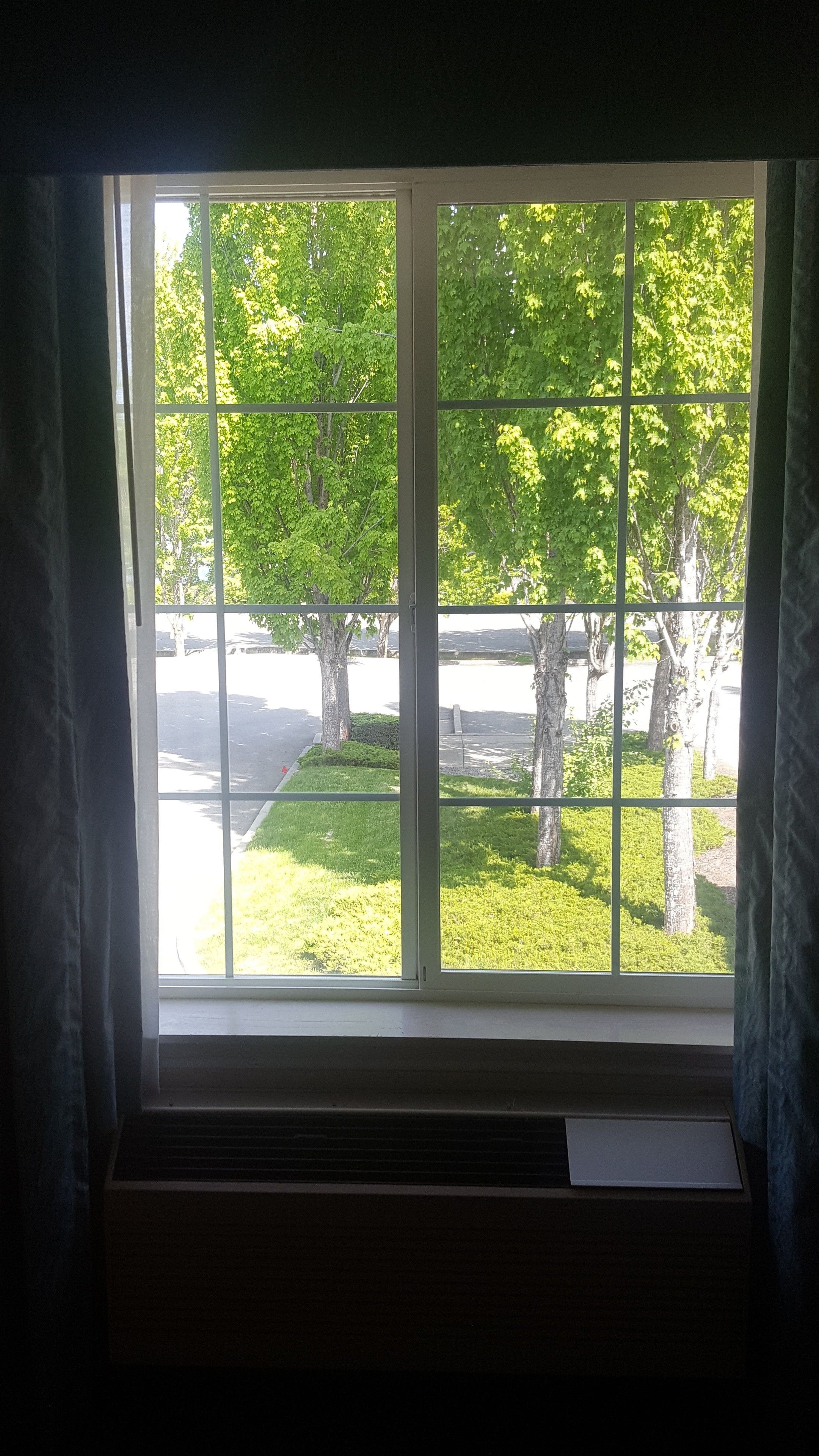 A window with a view of trees and a parking lot.
