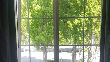 A window with a view of trees and a parking lot.