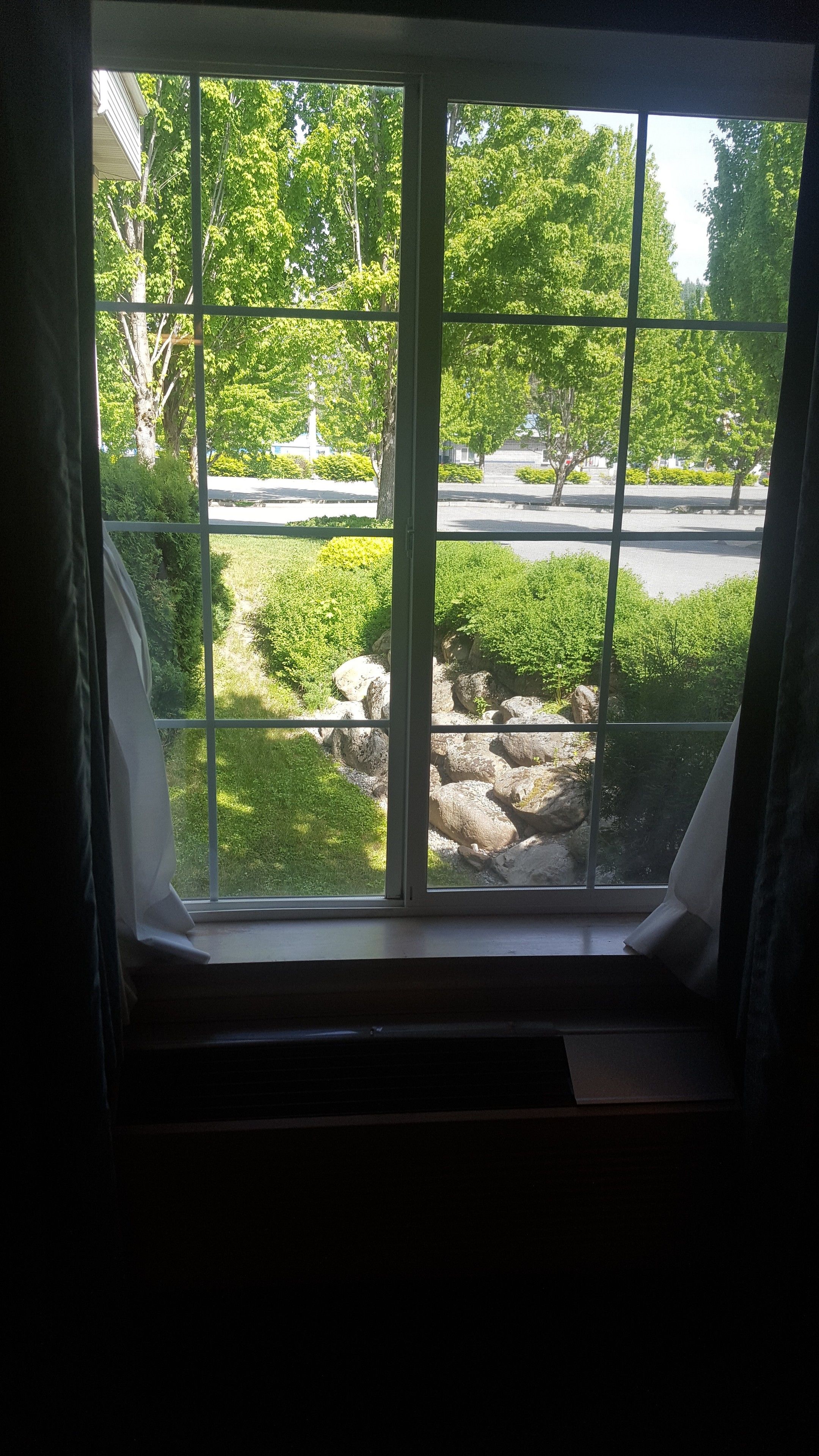 A window with a view of a landscaped area with trees, bushes, and a paved path.