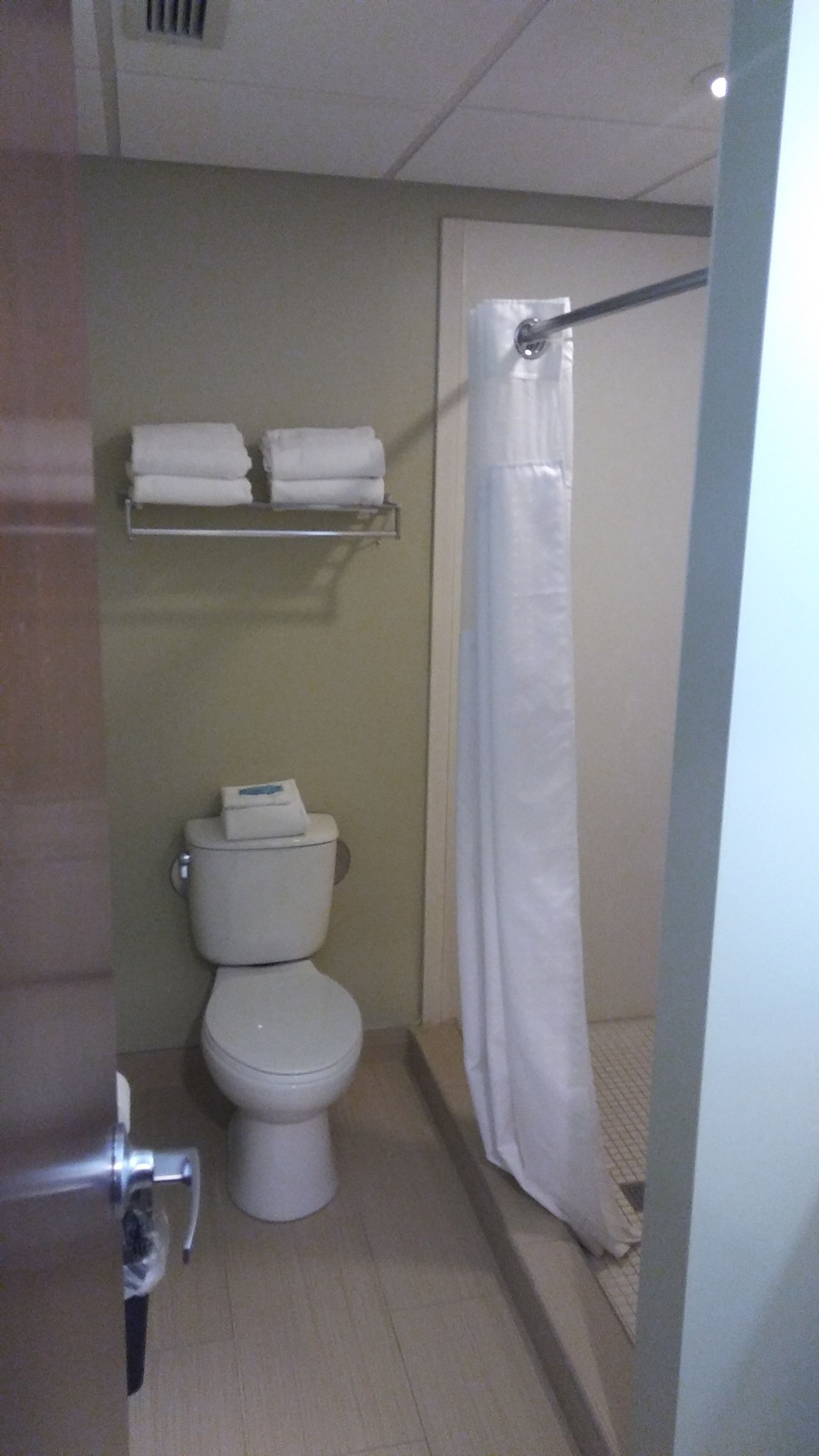 A bathroom with a toilet, a shelf with folded towels, and a shower curtain.
