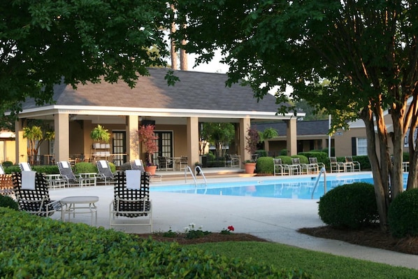 Outdoor pool, pool loungers