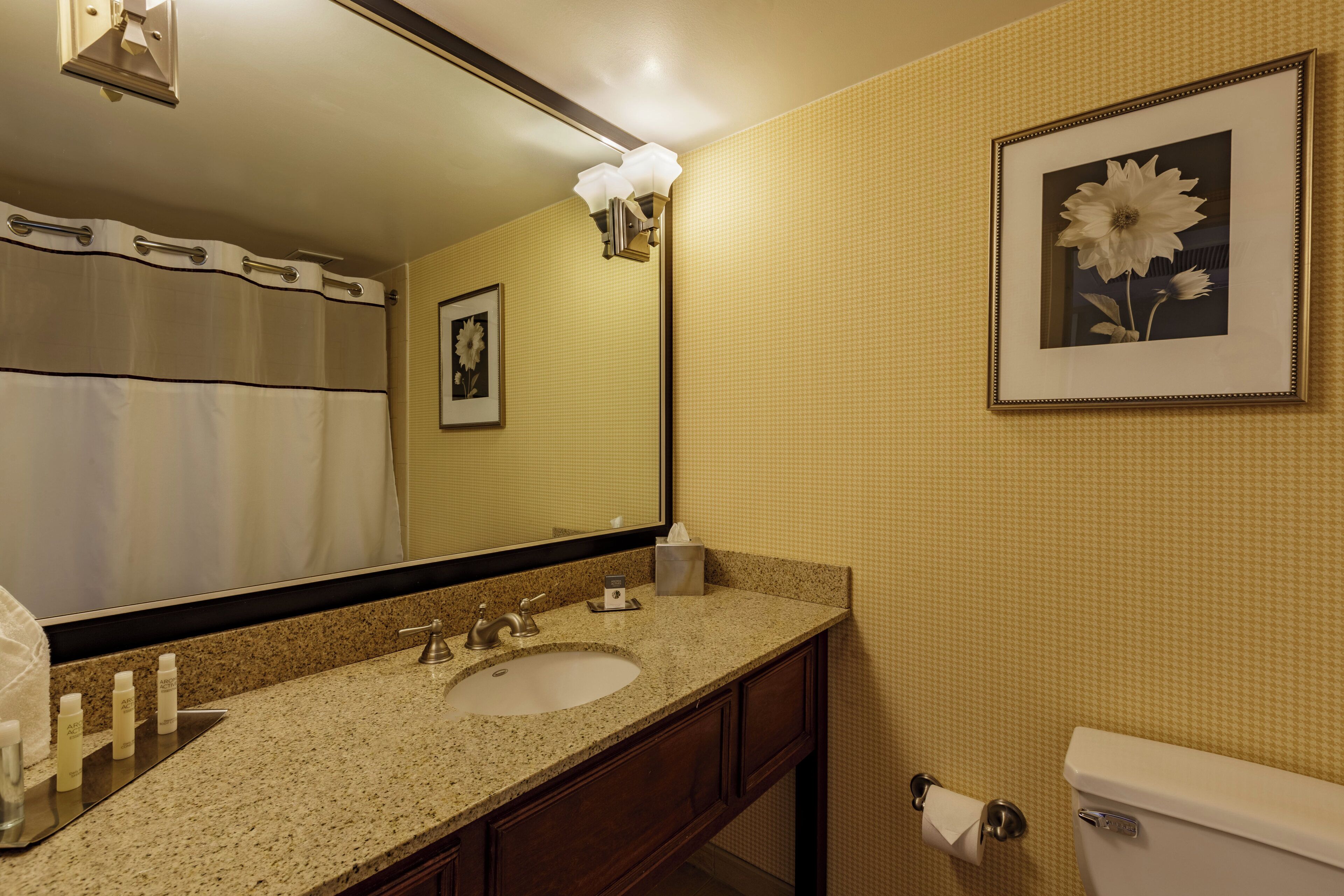 Een badkamer met een wastafel, spiegel, toilet en een lijst met een foto aan de muur.