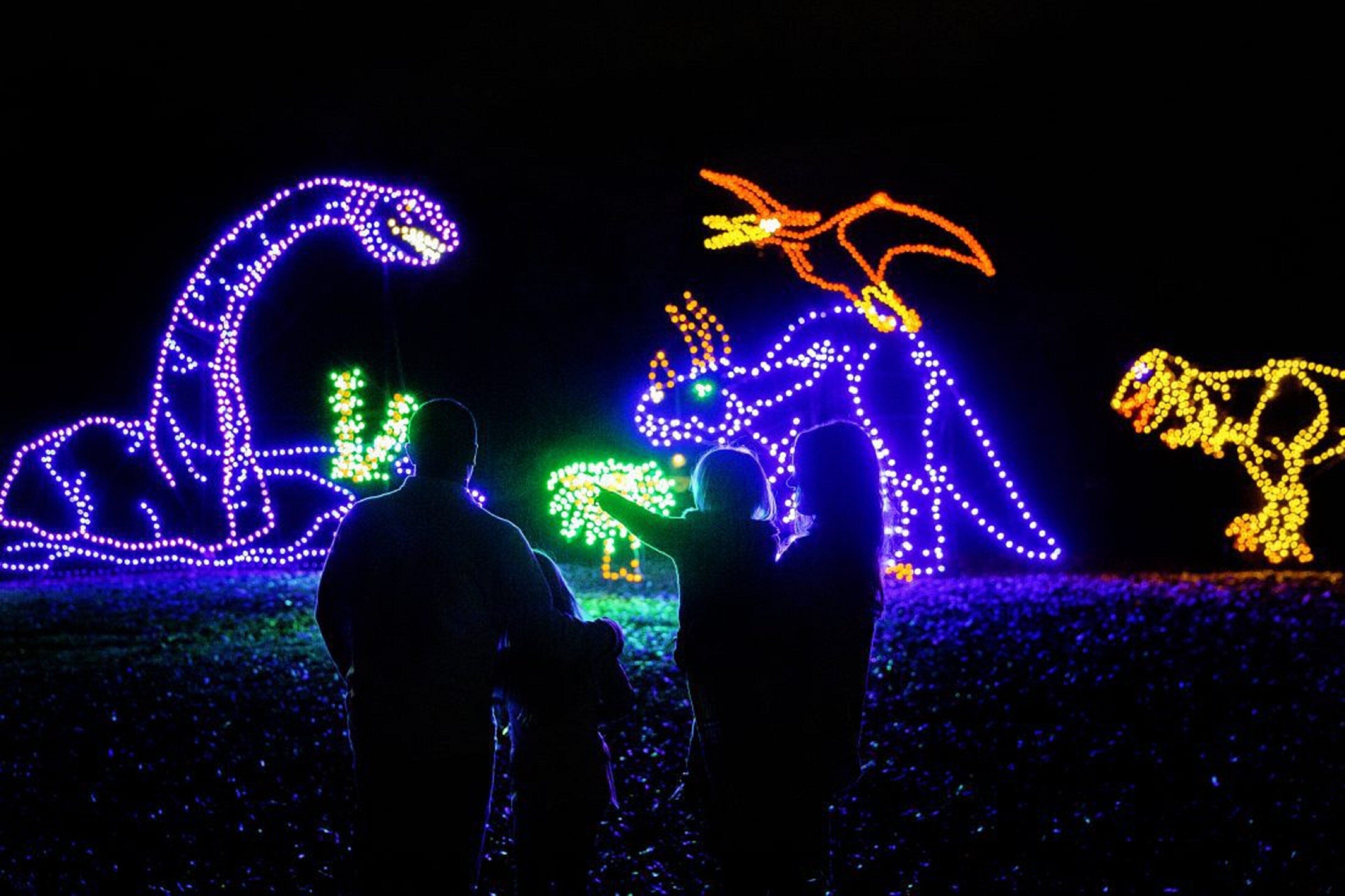 A nighttime scene with illuminated animal figures and silhouettes of people.