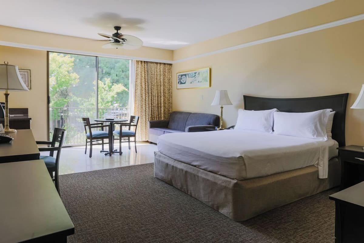 A hotel room with a large bed, a desk, a chair, a sofa, and a balcony with a view of trees.
