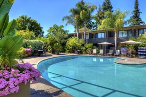 Una piscina al aire libre, una piscina climatizada