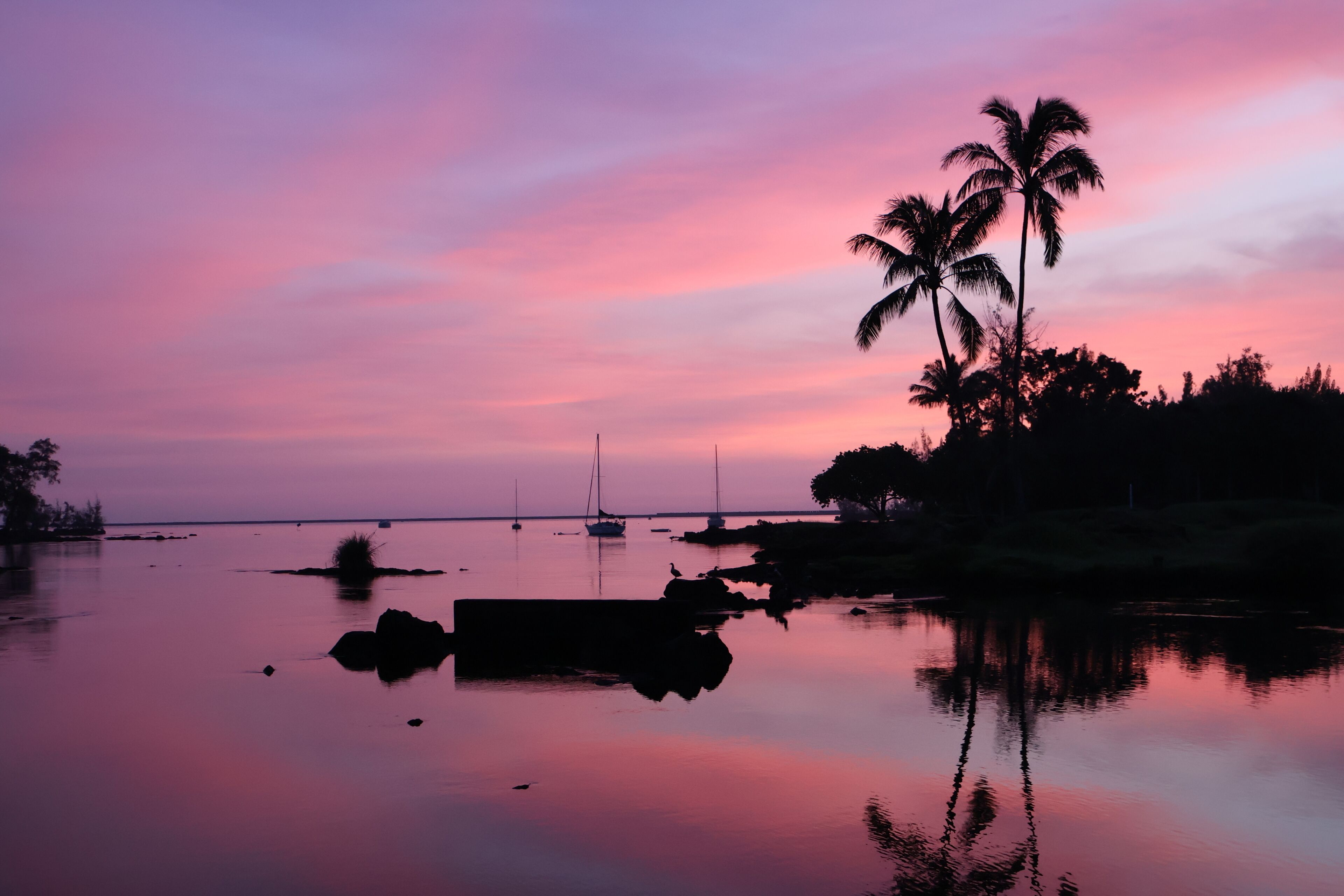 Un cuerpo de agua tranquilo con barcos y palmeras durante el atardecer.