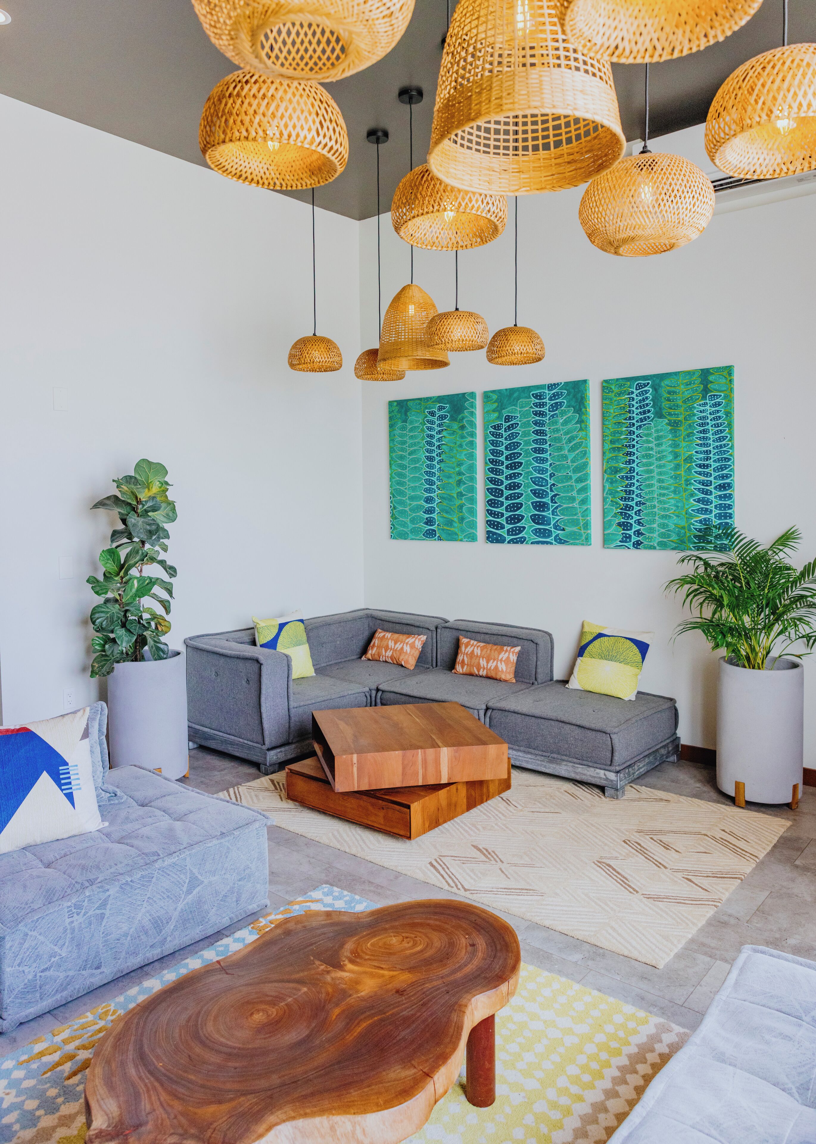 Een moderne woonkamer met een grijze hoekbank, een houten salontafel en een grote potplant.