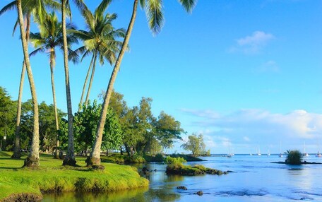 A serene coastal landscape with palm trees, a calm river, and boats in the distance.
