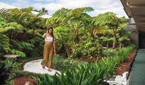 Garden - SCP Hilo Hotel (Hilo)