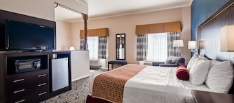 Best Western Spring Hill Inn & Suites