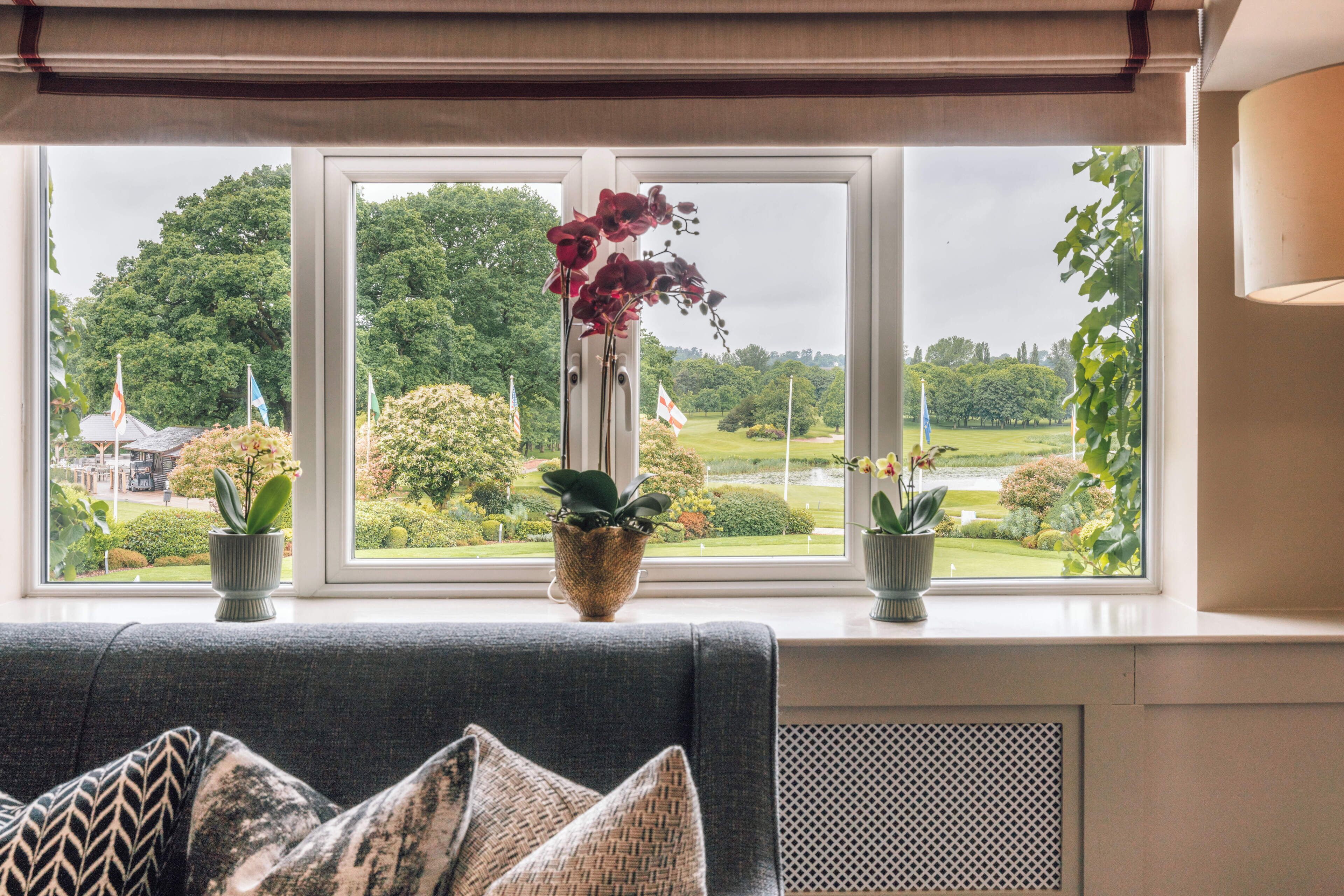 A room with a sofa, two potted plants, and a window with a view of a park and trees.