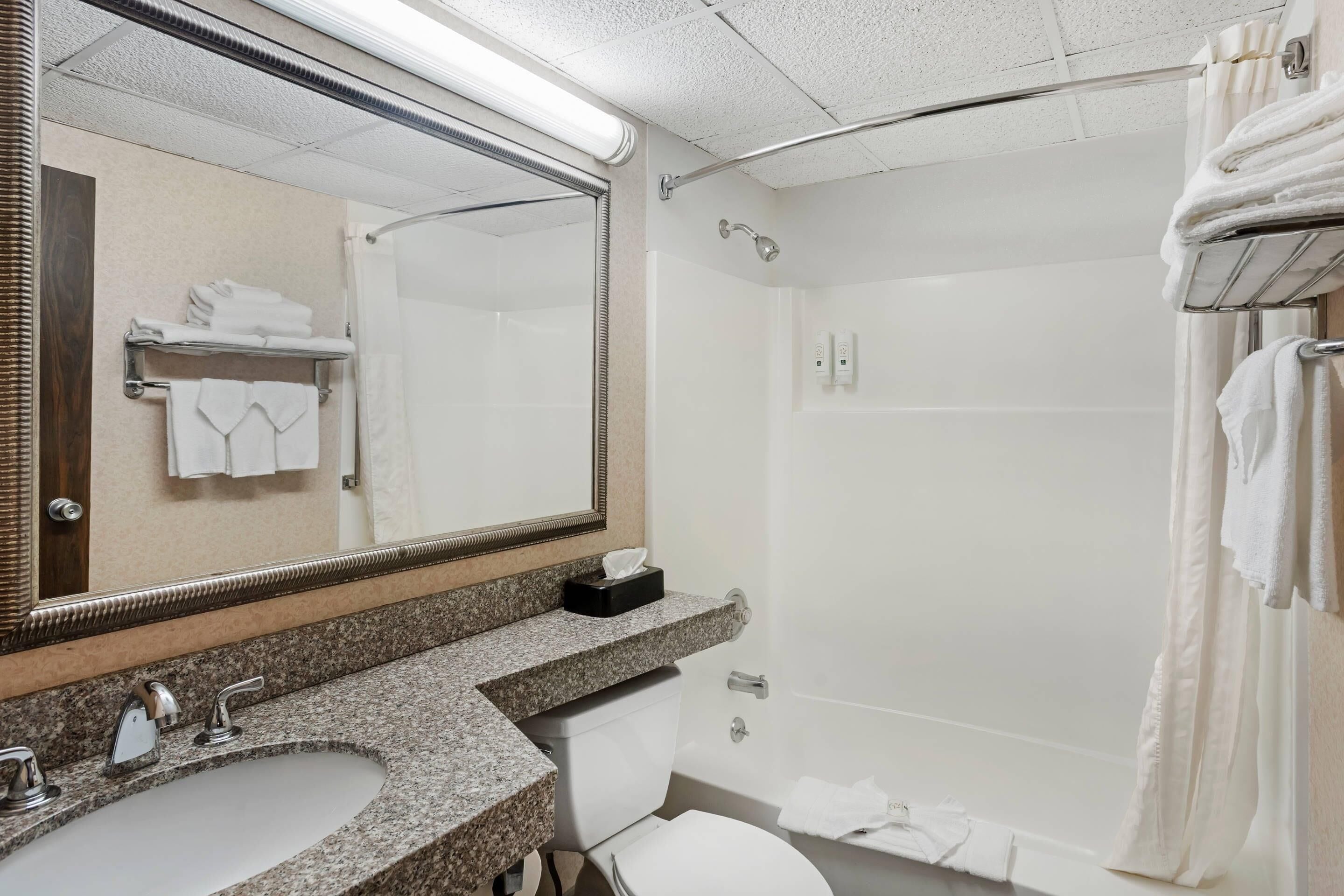A bathroom with a sink, toilet, shower, and a mirror with a towel rack.