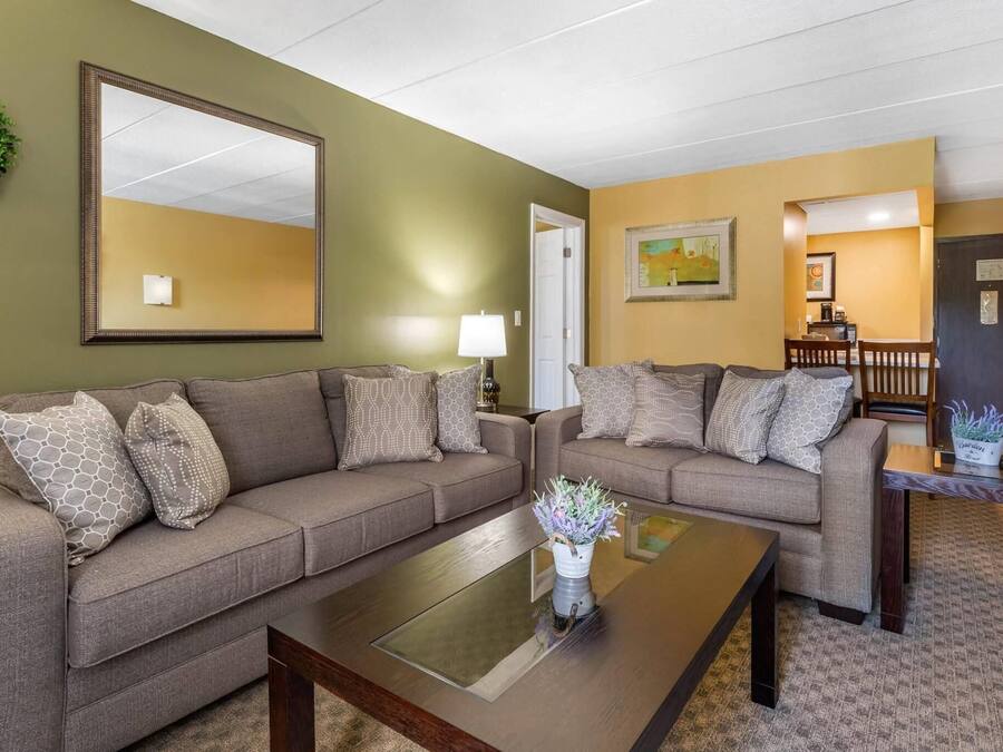 Ein Wohnzimmer mit zwei Sofas, einem Couchtisch, einer Lampe und einem Bild an der Wand.