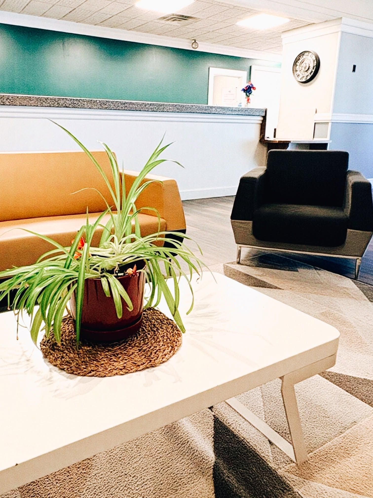 A reception area with a reception desk, a brown couch, a black armchair, and a potted plant on a white table.