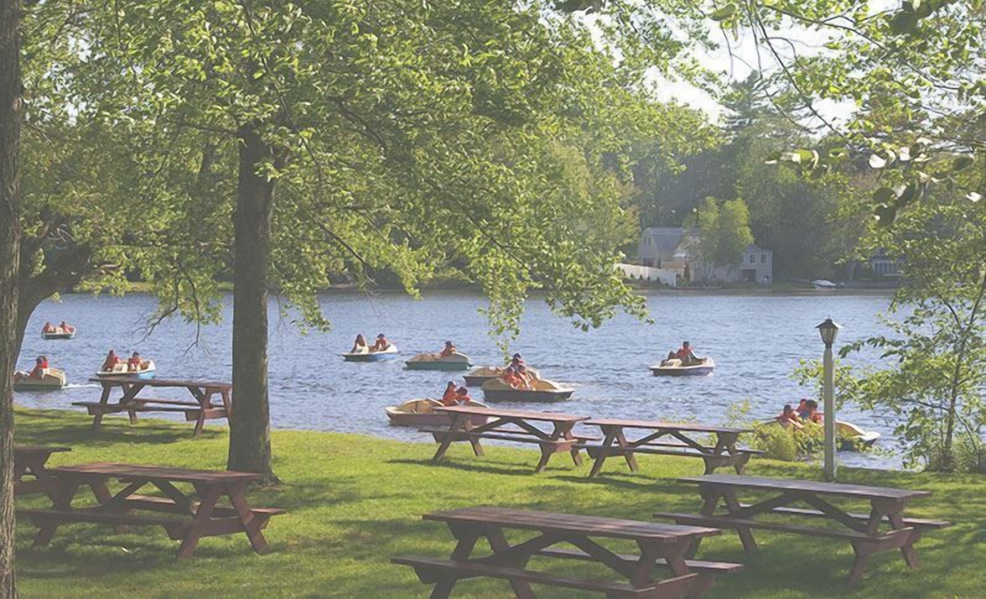 Un área de picnic junto al lago con mesas y bancos de madera, rodeada de árboles y botes en el agua.