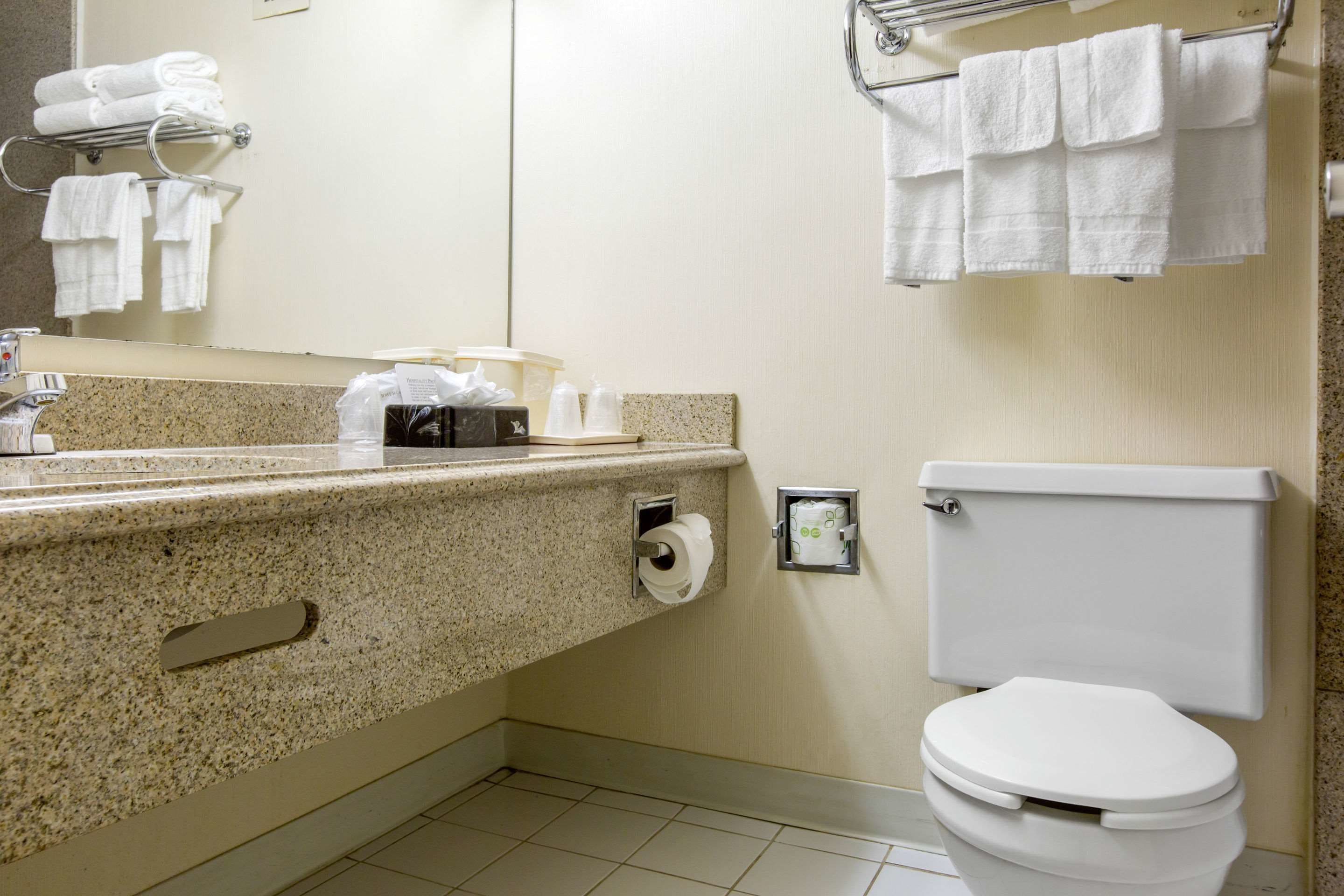 Un baño con encimera de granito, inodoro y toallero con toallas dobladas.