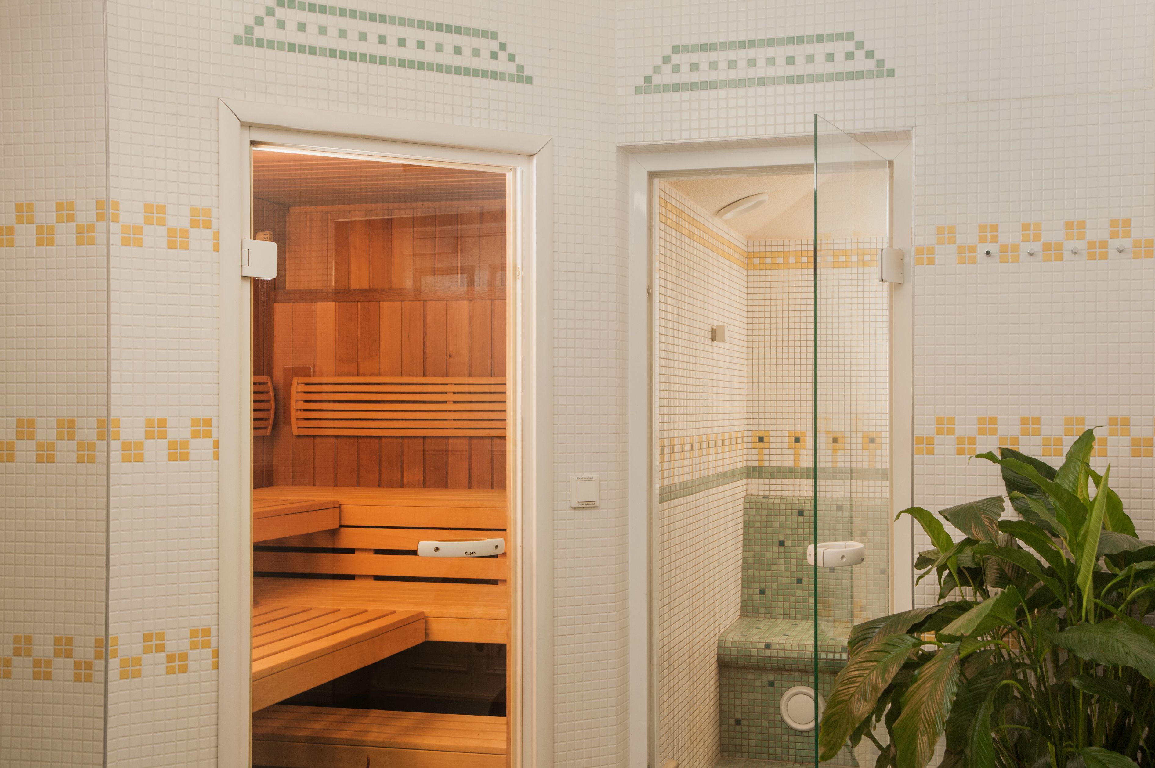 sauna, steam room
