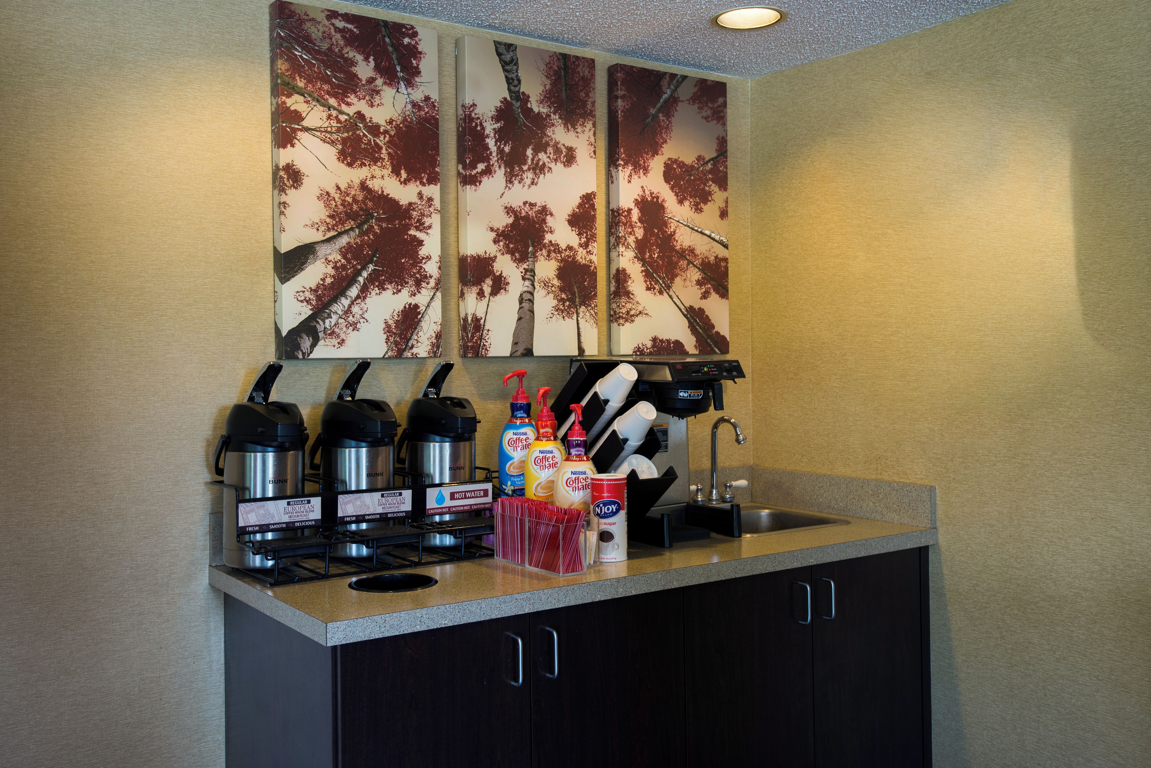 Una kitchenette equipada con cafetera, hervidoras y un lavamanos.