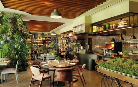 A modern restaurant with a central round table, surrounded by chairs, and a variety of plants and greenery.