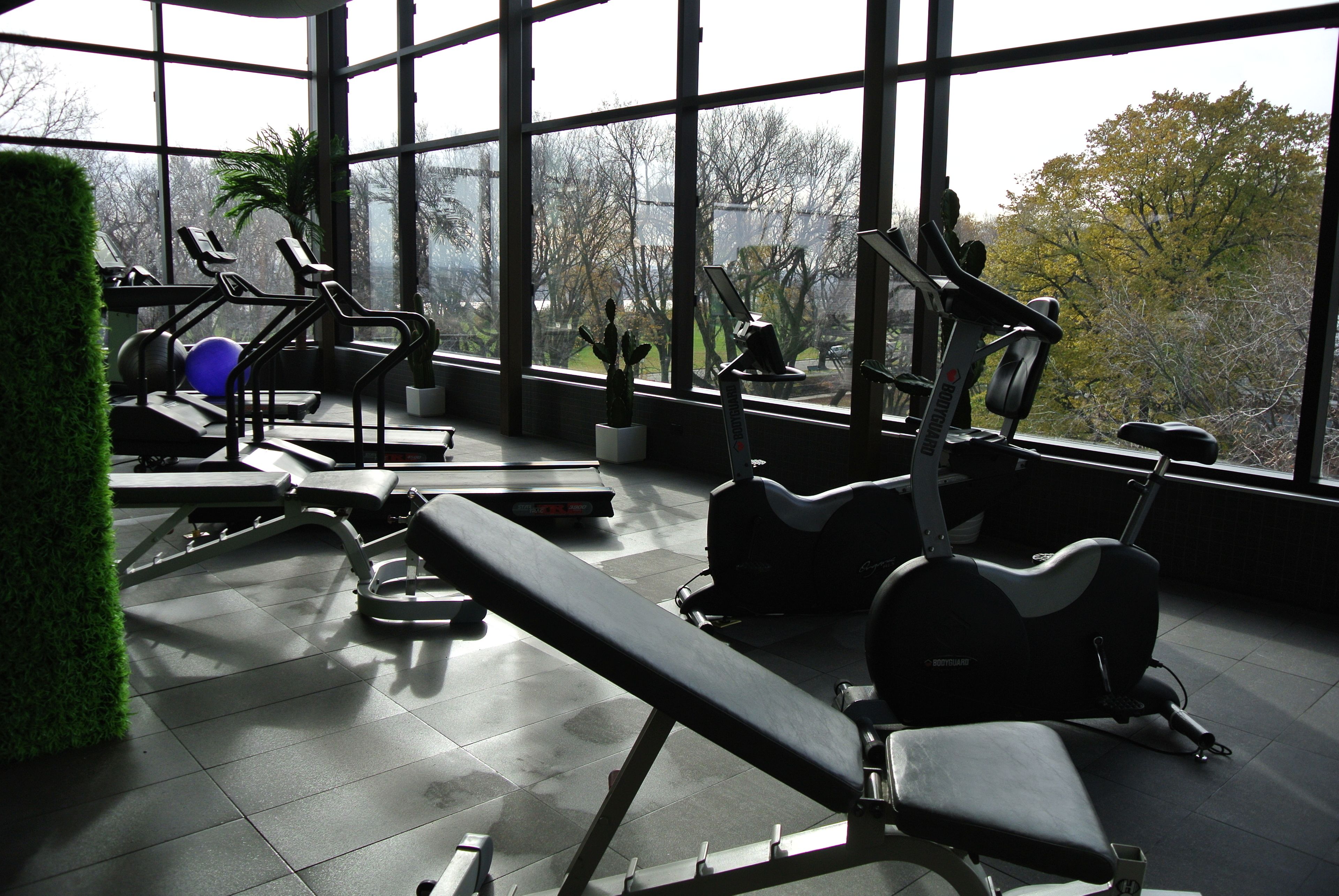 Un gimnasio con equipo de ejercicio diverso, amplias ventanas y vista a árboles.