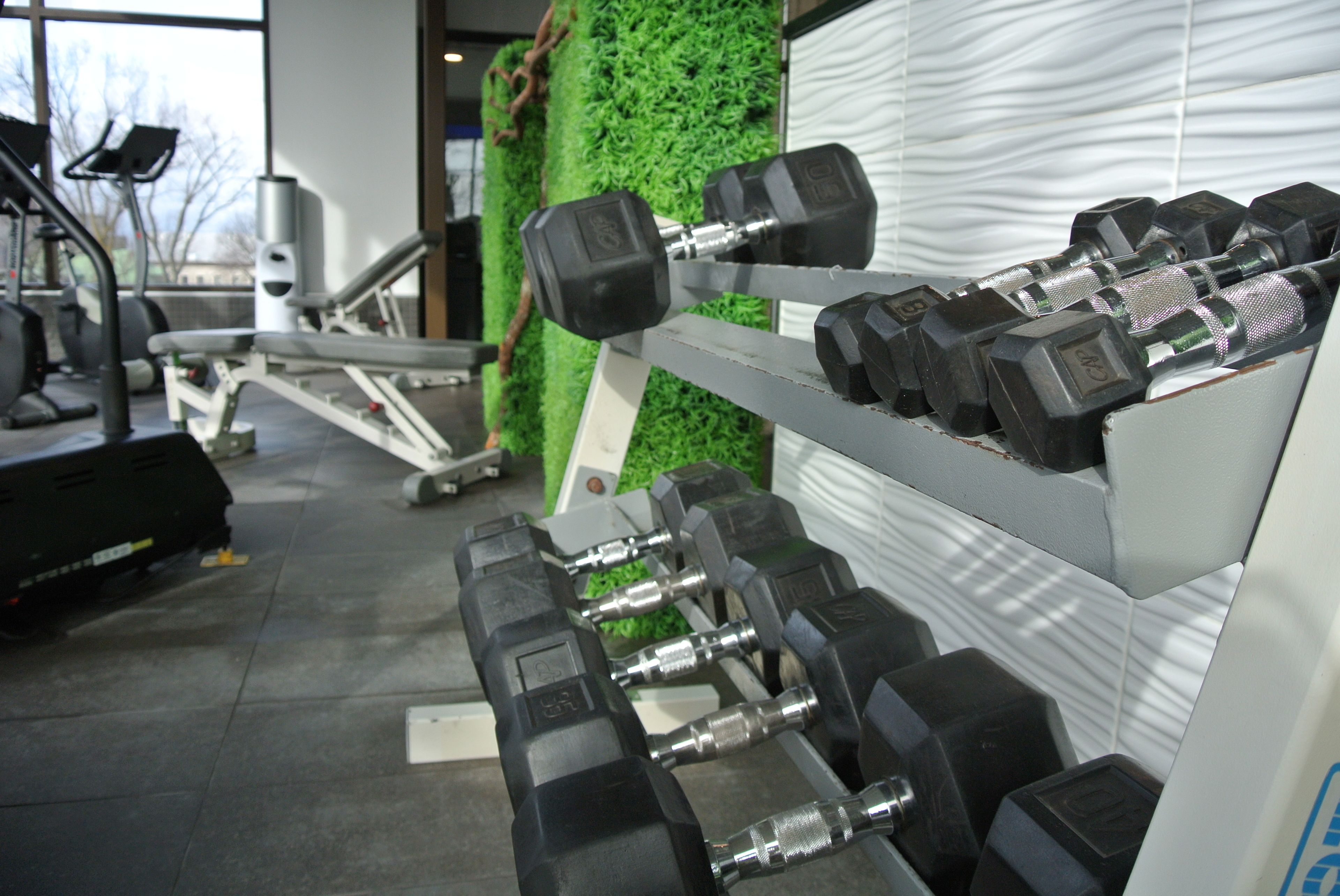 Un gimnasio con estanterías llenas de mancuernas, máquinas de ejercicio y una pared verde.