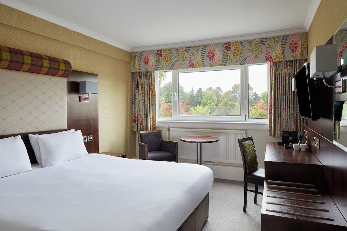 Standard King Room | Hypo-allergenic bedding, desk, blackout drapes, iron/ironing board