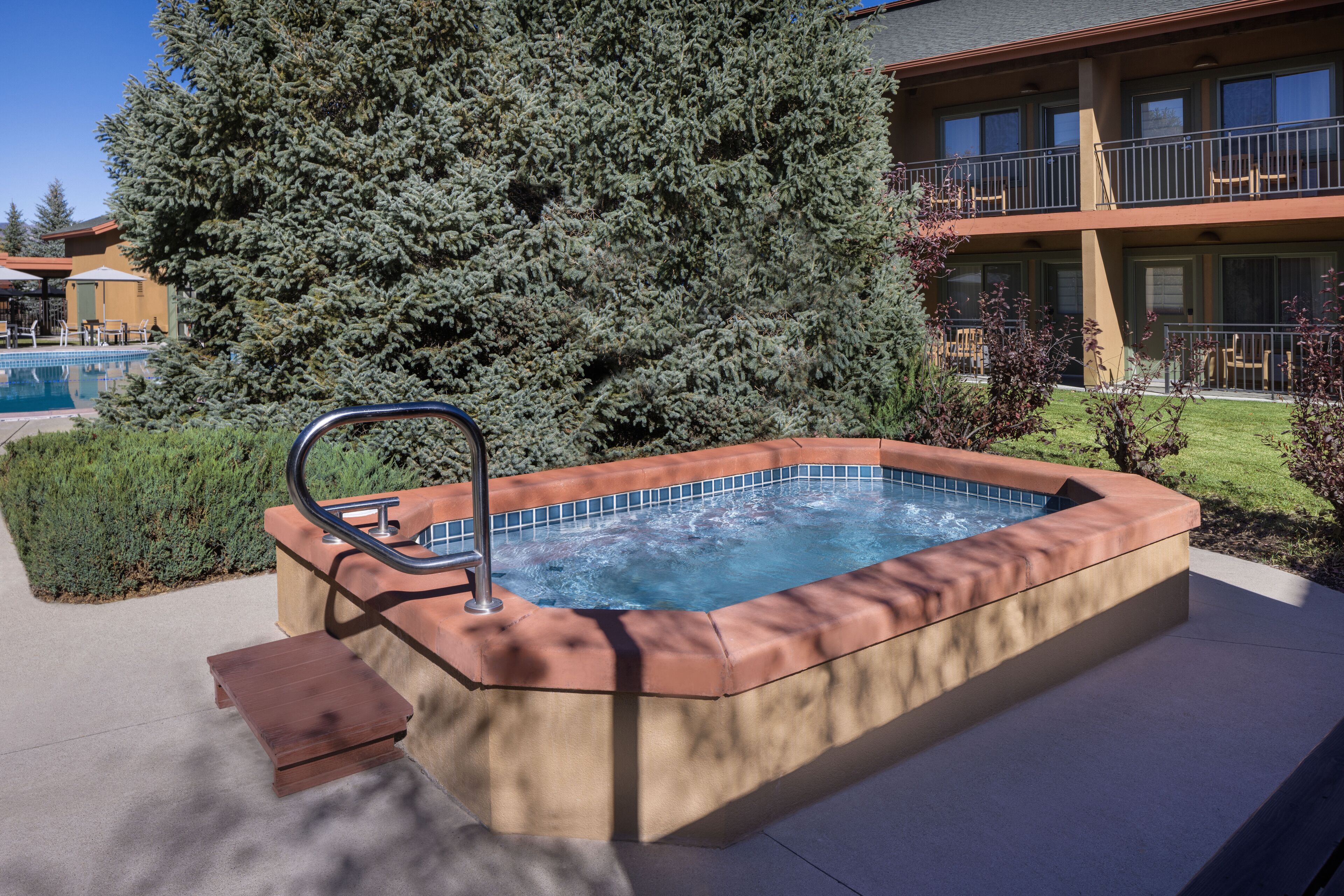 A hot tub with a metal ladder, surrounded by a concrete deck, a pool, and a large evergreen tree.