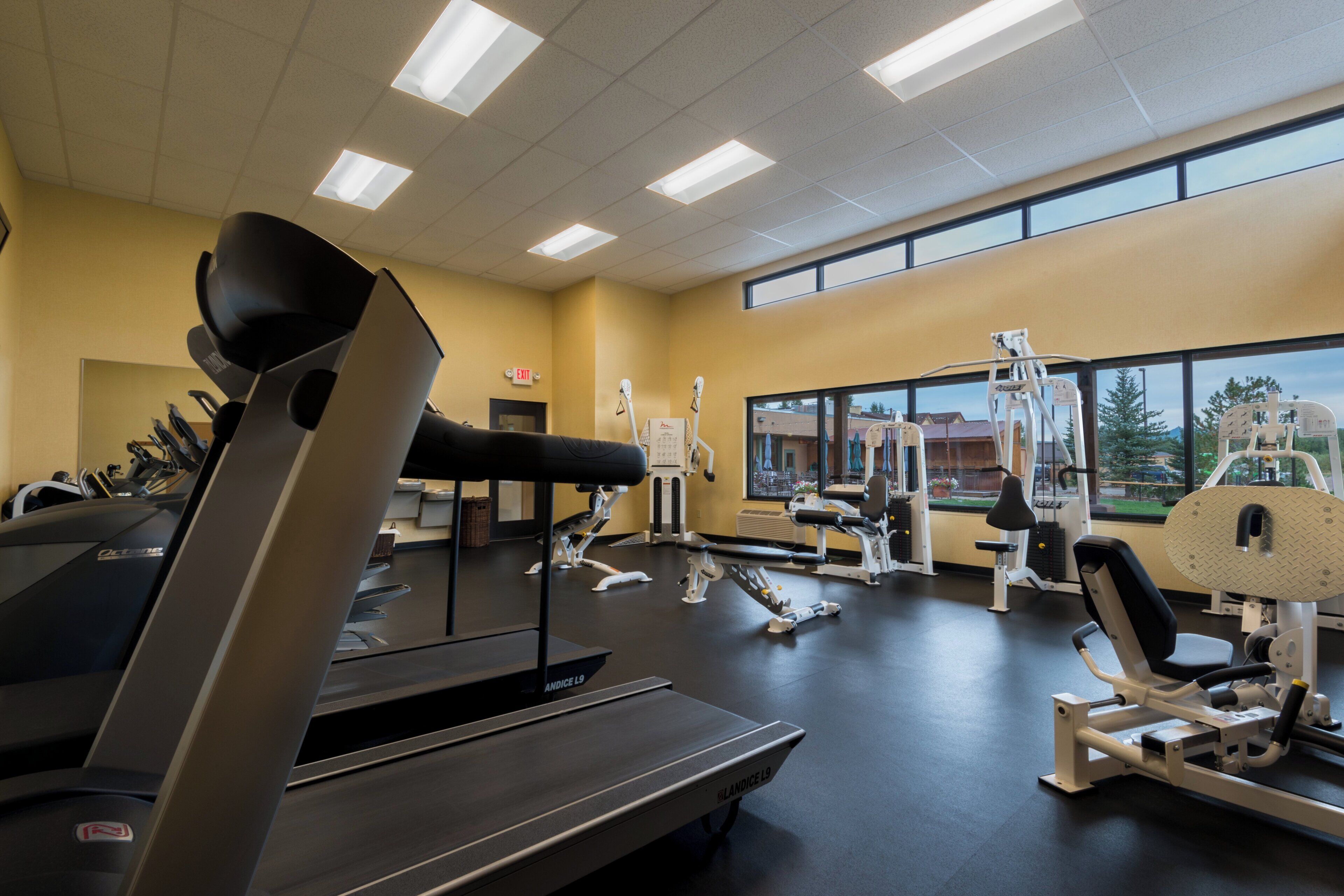 A gym with various exercise equipment, a treadmill, and a window providing a view of the outdoors.