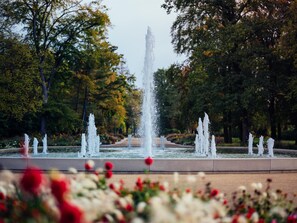 A fountain with multiple jets of water in a park setting. - Best Western Premier Park Hotel and Spa (Bad Lippspringe)
