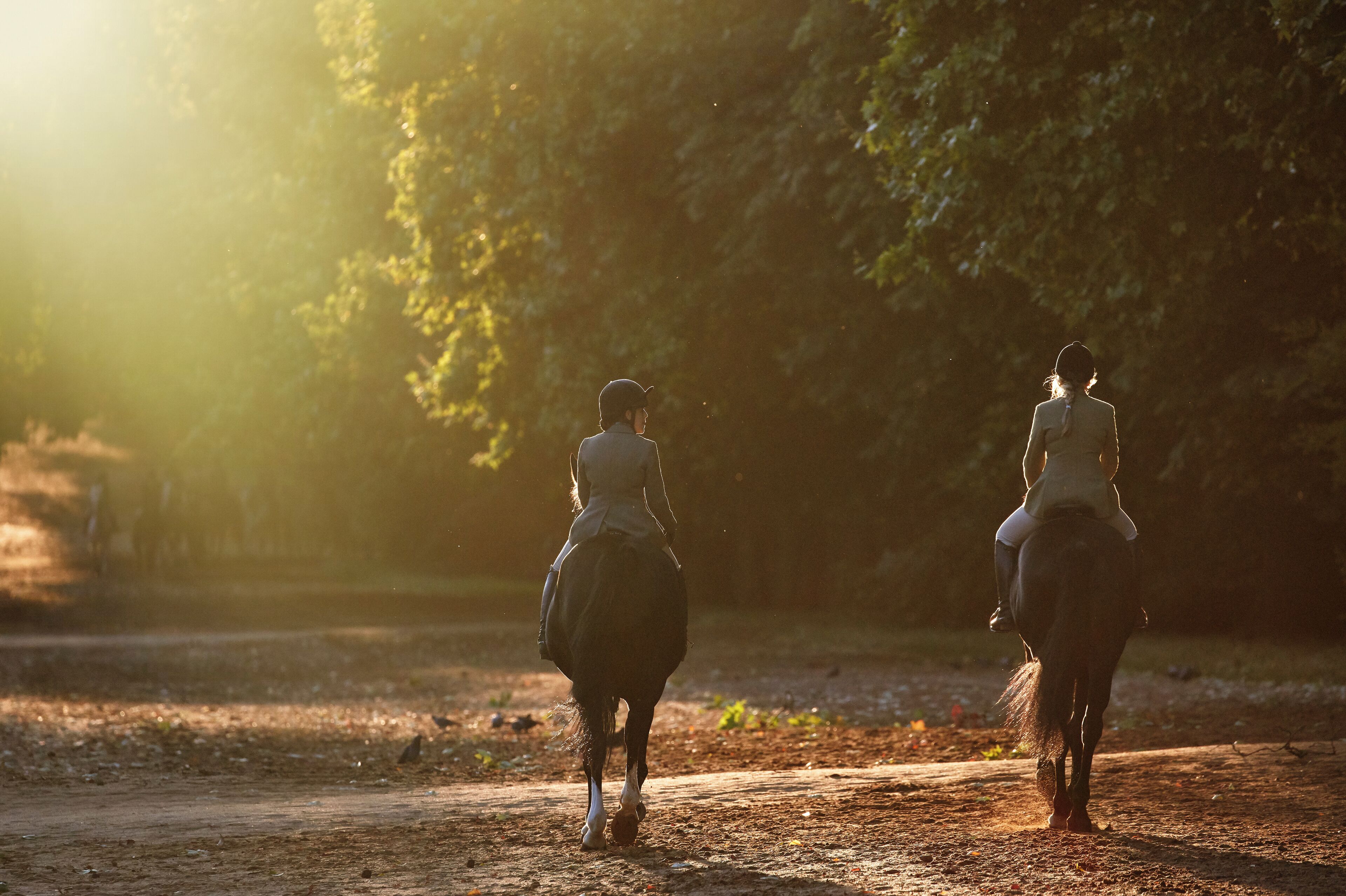 Two people riding horses on a dirt path with trees in the background.