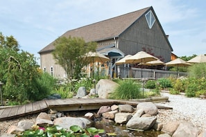 Vineyard