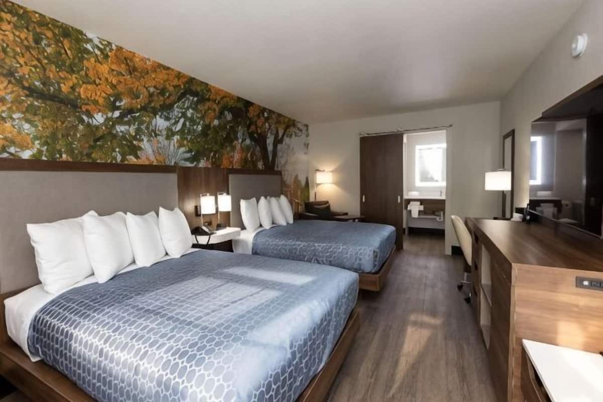 Desk, laptop workspace, free WiFi, alarm clocks