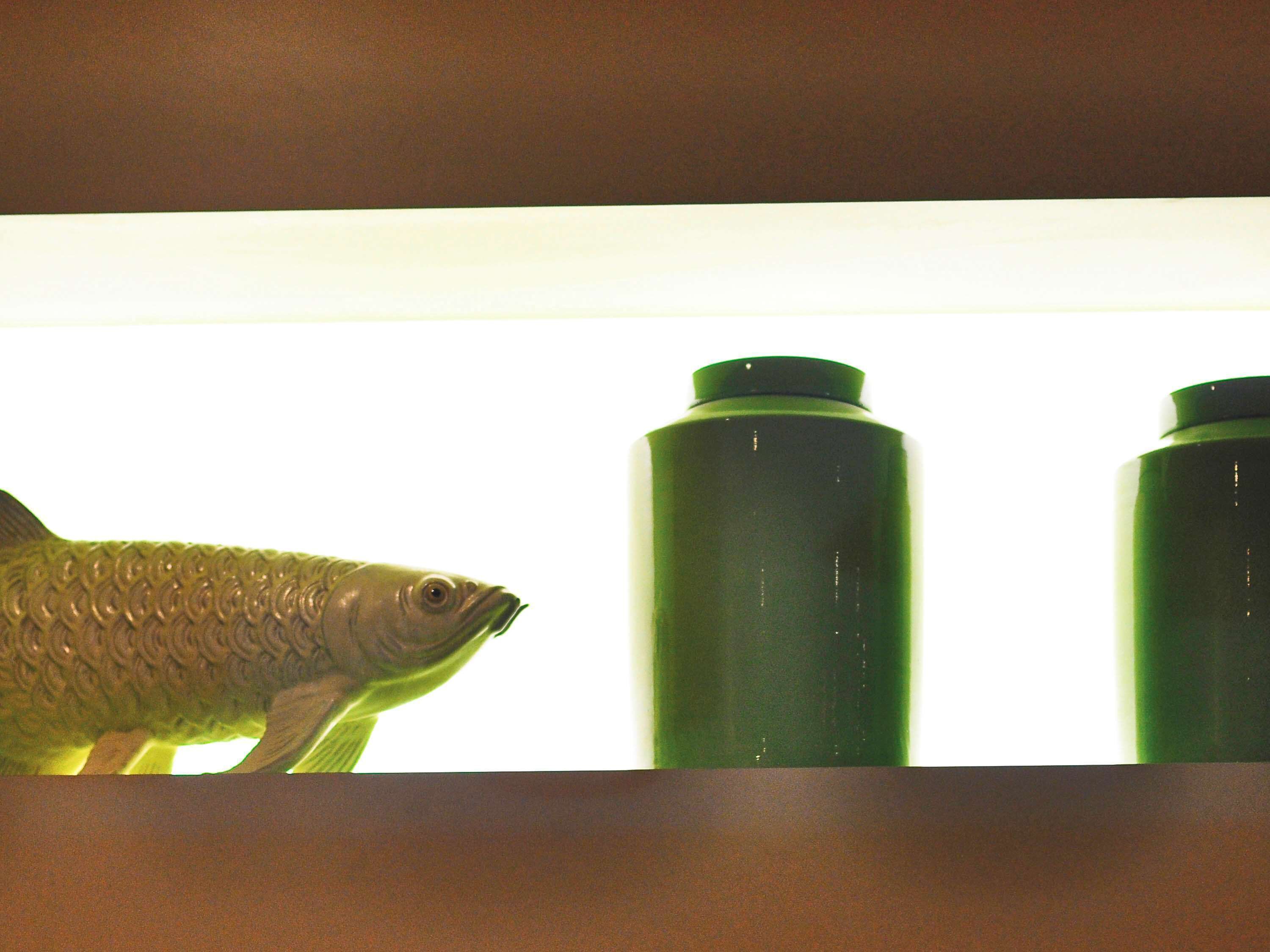 Ein Fisch in einem Aquarium, im Hintergrund zwei grüne Flaschen.
