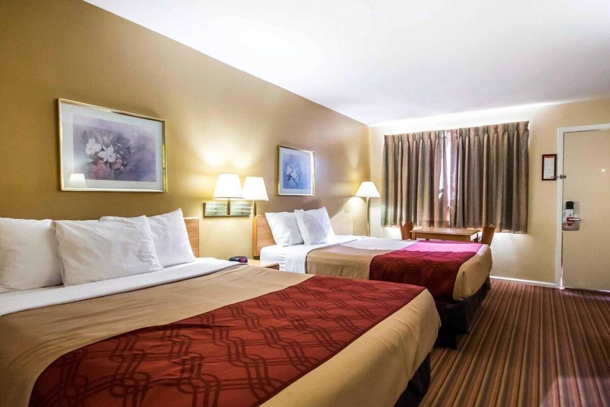 Habitación de hotel con dos camas, un escritorio y una silla. Hay dos lámparas en las mesitas de noche y un cuadro en la pared.