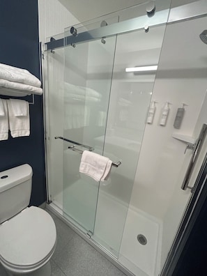 Combined shower/tub, free toiletries, hair dryer, towels