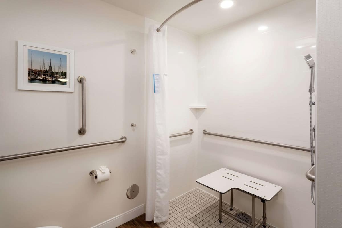 Bathroom | Combined shower/tub, free toiletries, hair dryer, towels