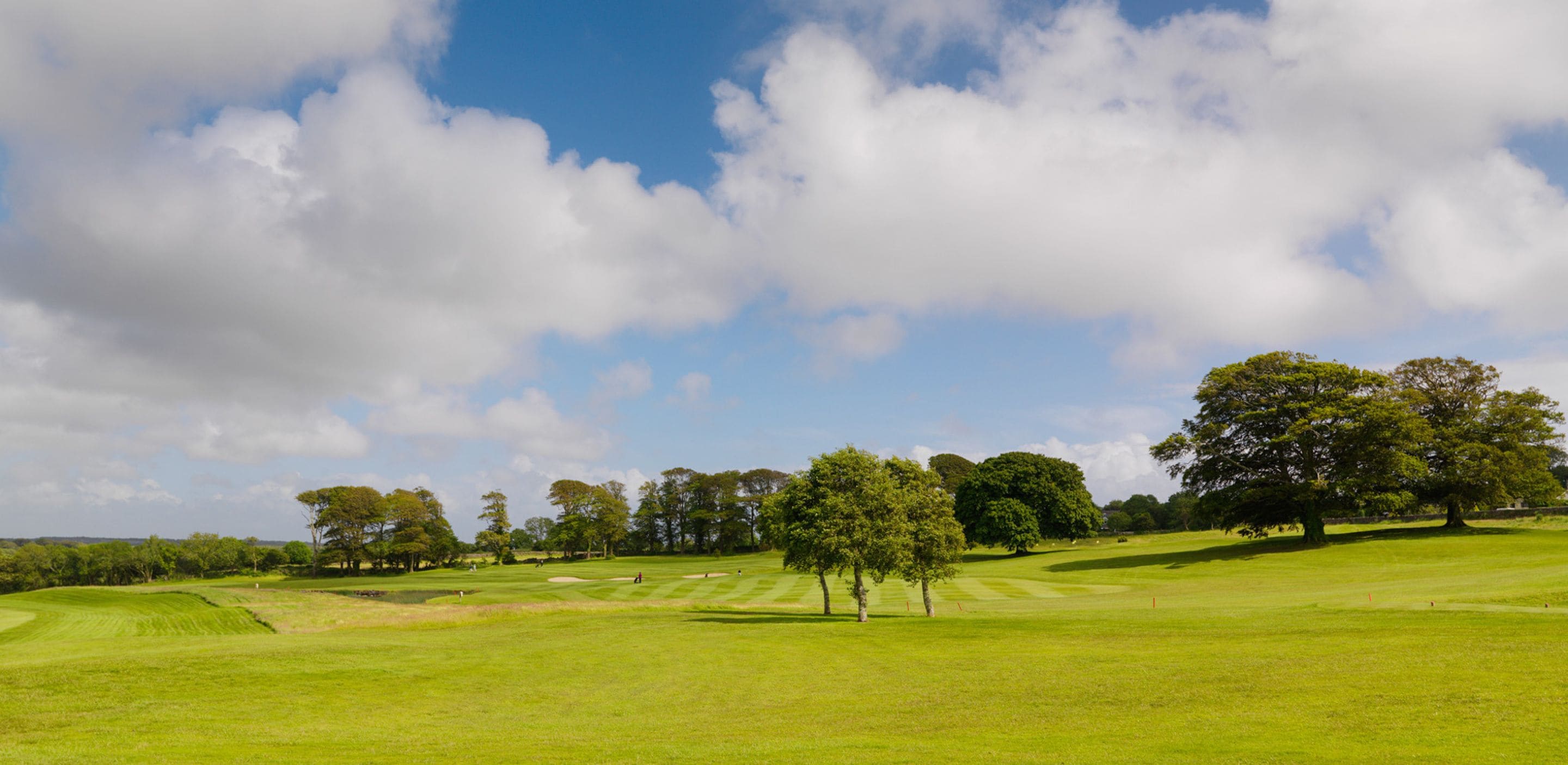 A golf course with a clear sky and trees.