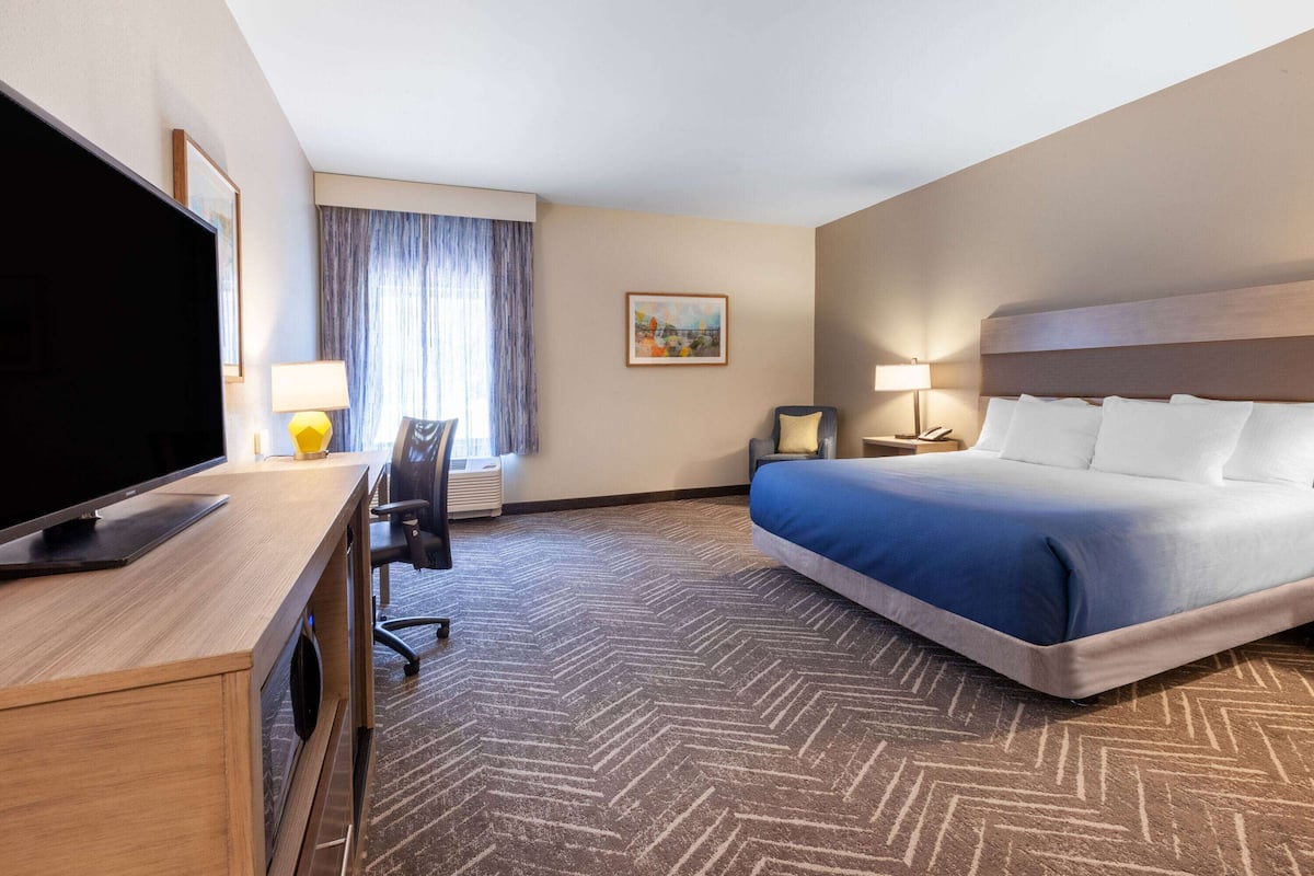 Deluxe Room, 1 King Bed, Non Smoking | Premium bedding, pillowtop beds, desk, laptop workspace