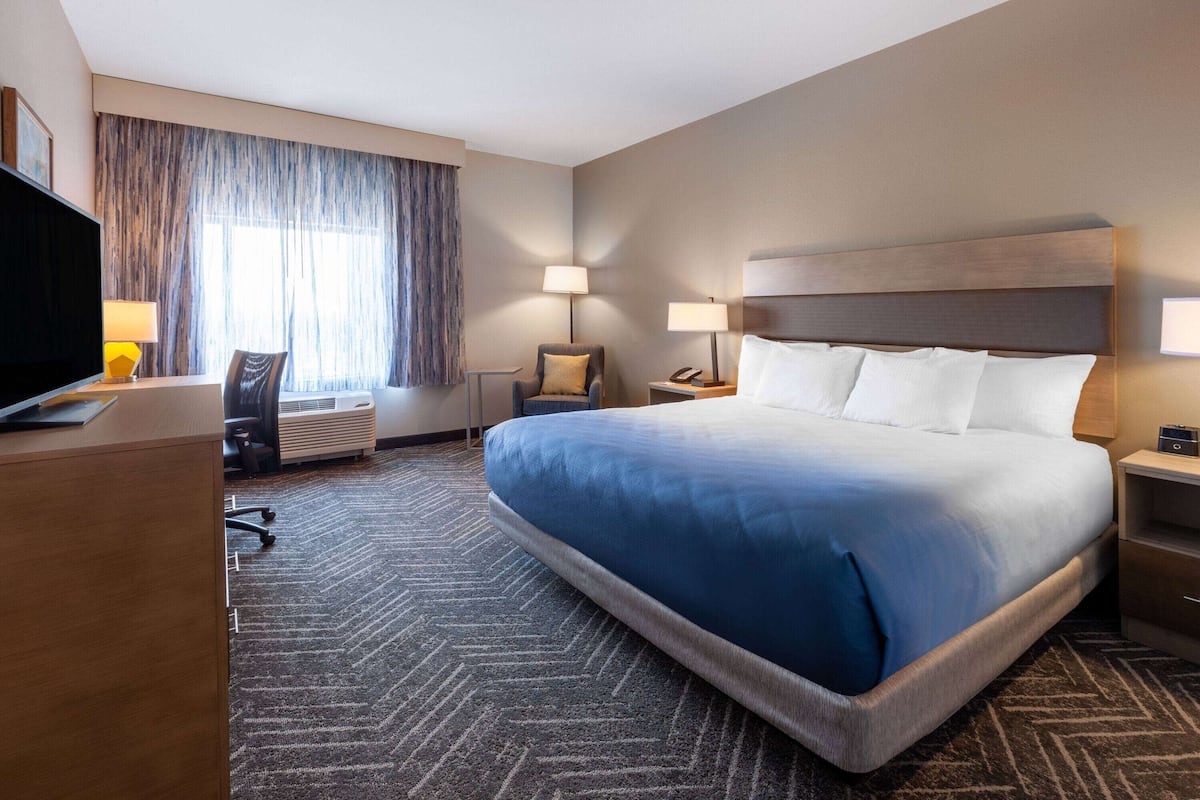 room, 1 king bed, non smoking | premium bedding, pillow-top beds, desk, laptop workspace