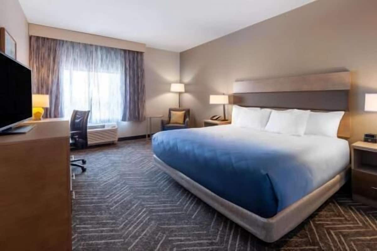 Ropa de cama de alta calidad, camas con pillow-top y escritorio