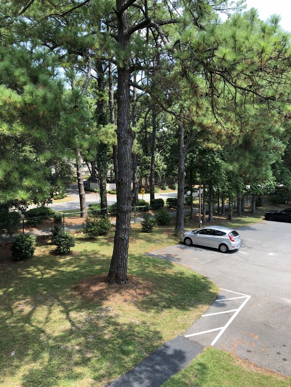A parking area with a white car parked near a tree-lined road. - Hilton Head Island Beach & Tennis Resort (Hilton Head Island)