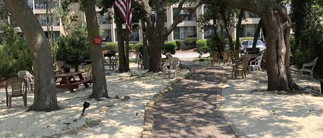 A paved pathway lined with trees and picnic tables, leading to a building with multiple balconies.