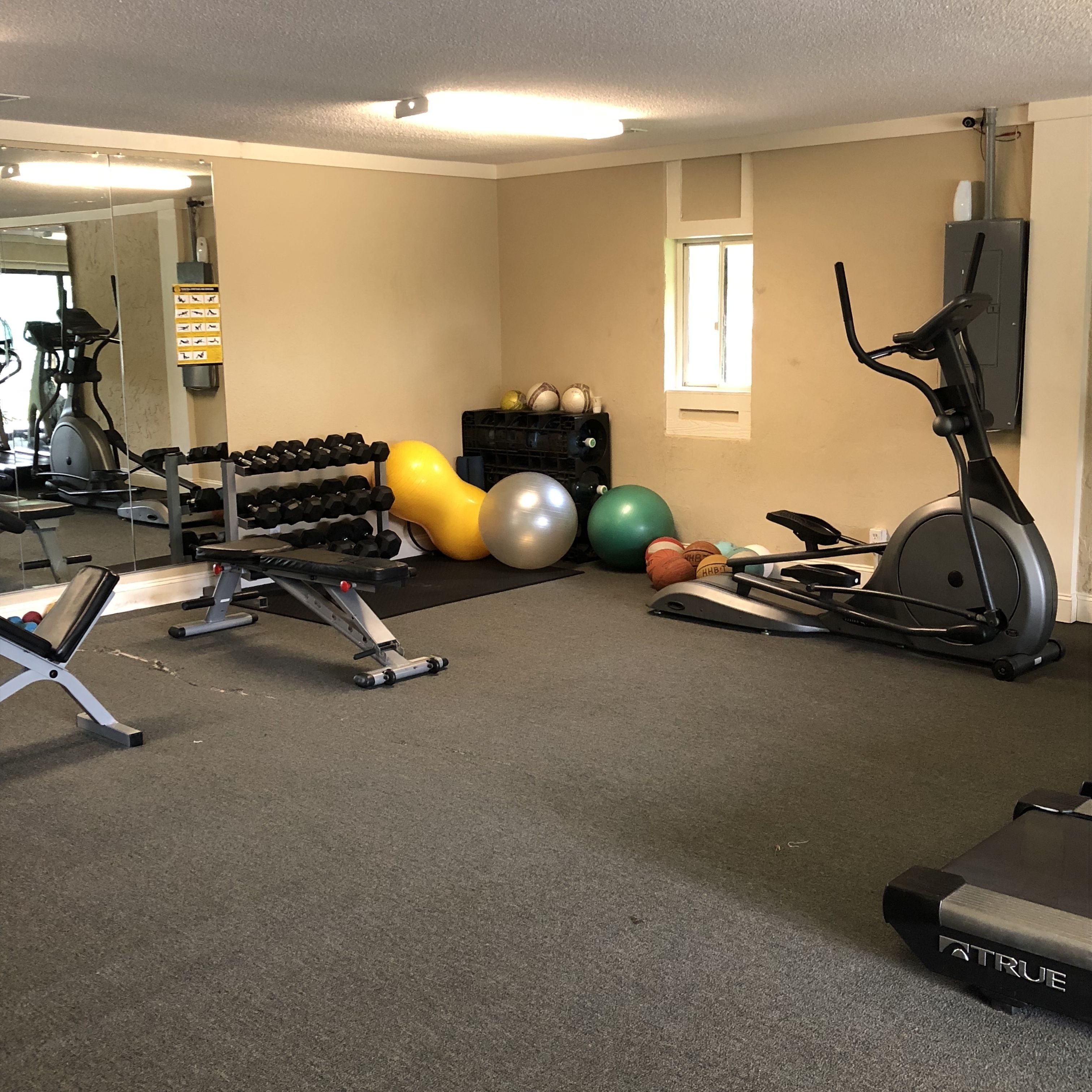 A gym with exercise equipment, including treadmills, dumbbells, and exercise balls.